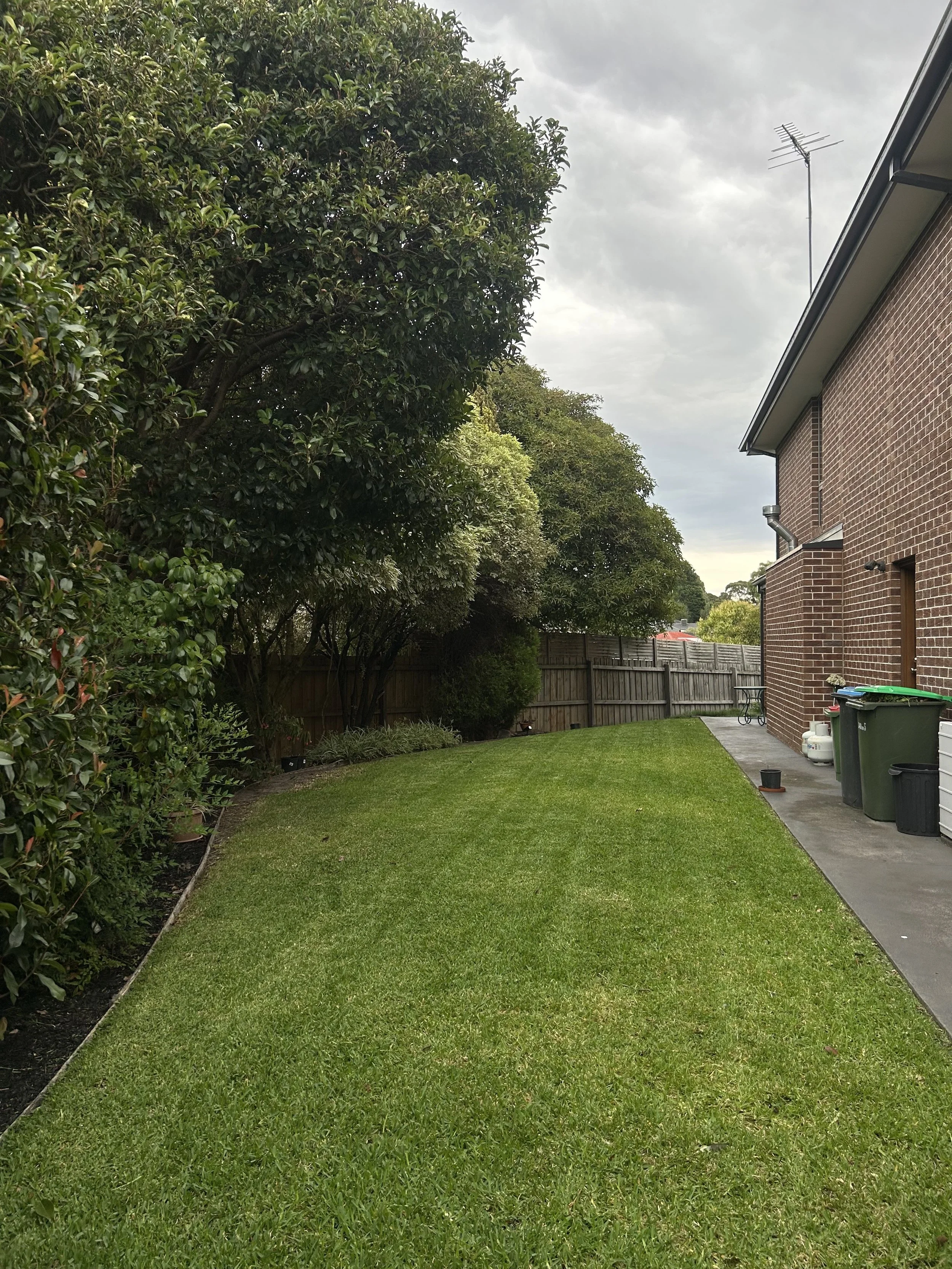 A backyard with a well-manicured lawn, trees on the left, a brick house on the right, and a wooden fence in the background. The sky is cloudy.