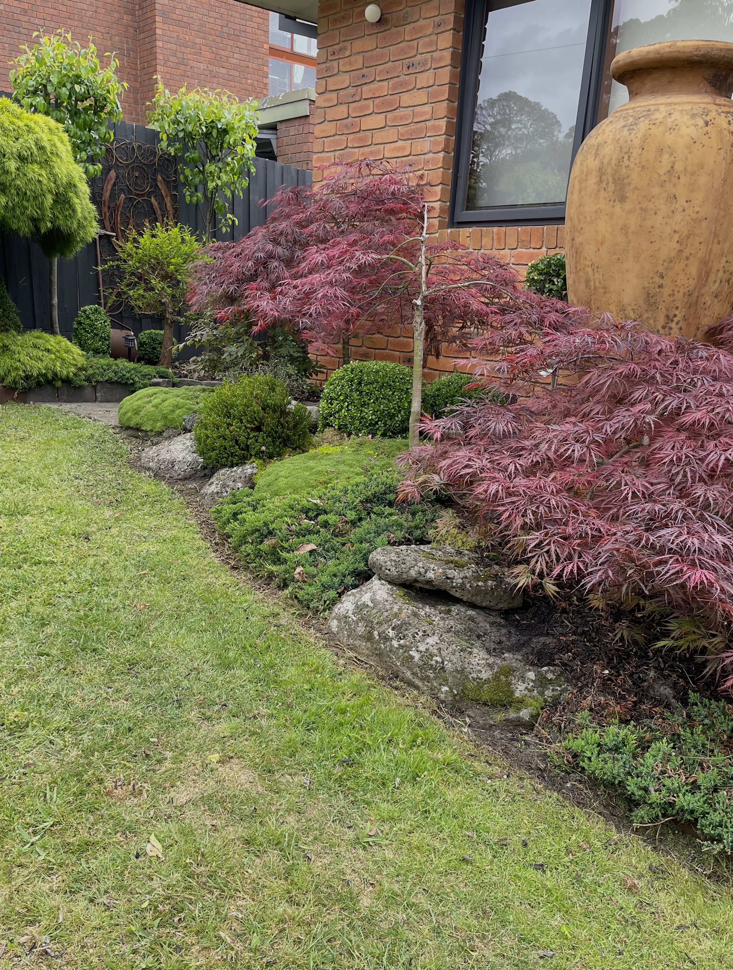 A landscaped garden with a red Japanese maple tree, assorted bushes, decorative rocks, and a lawn in front of a brick house with large window.