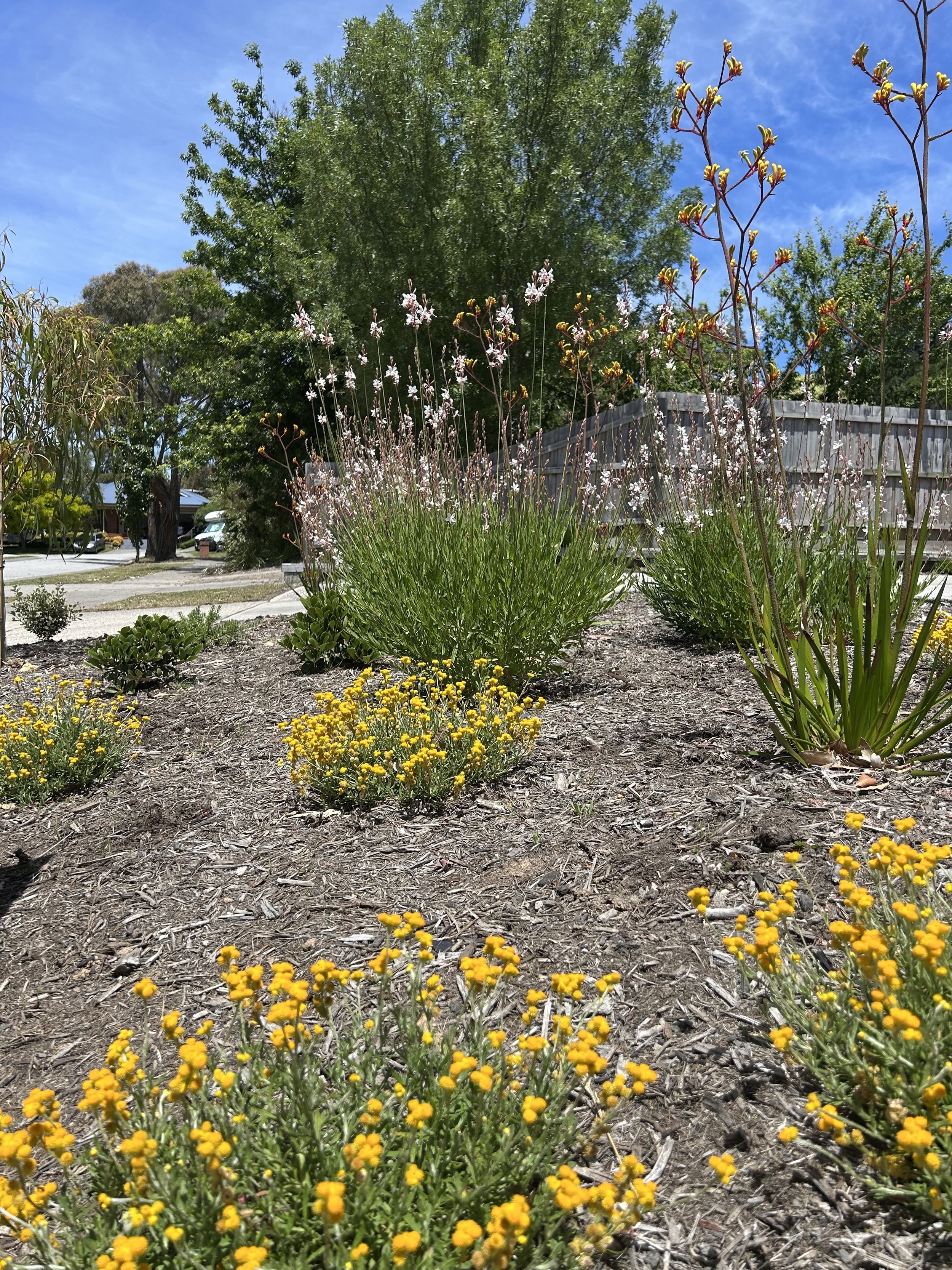 A garden bed with yellow, pink, and purple flowers, surrounded by green bushes and trees, under a blue sky with some clouds.