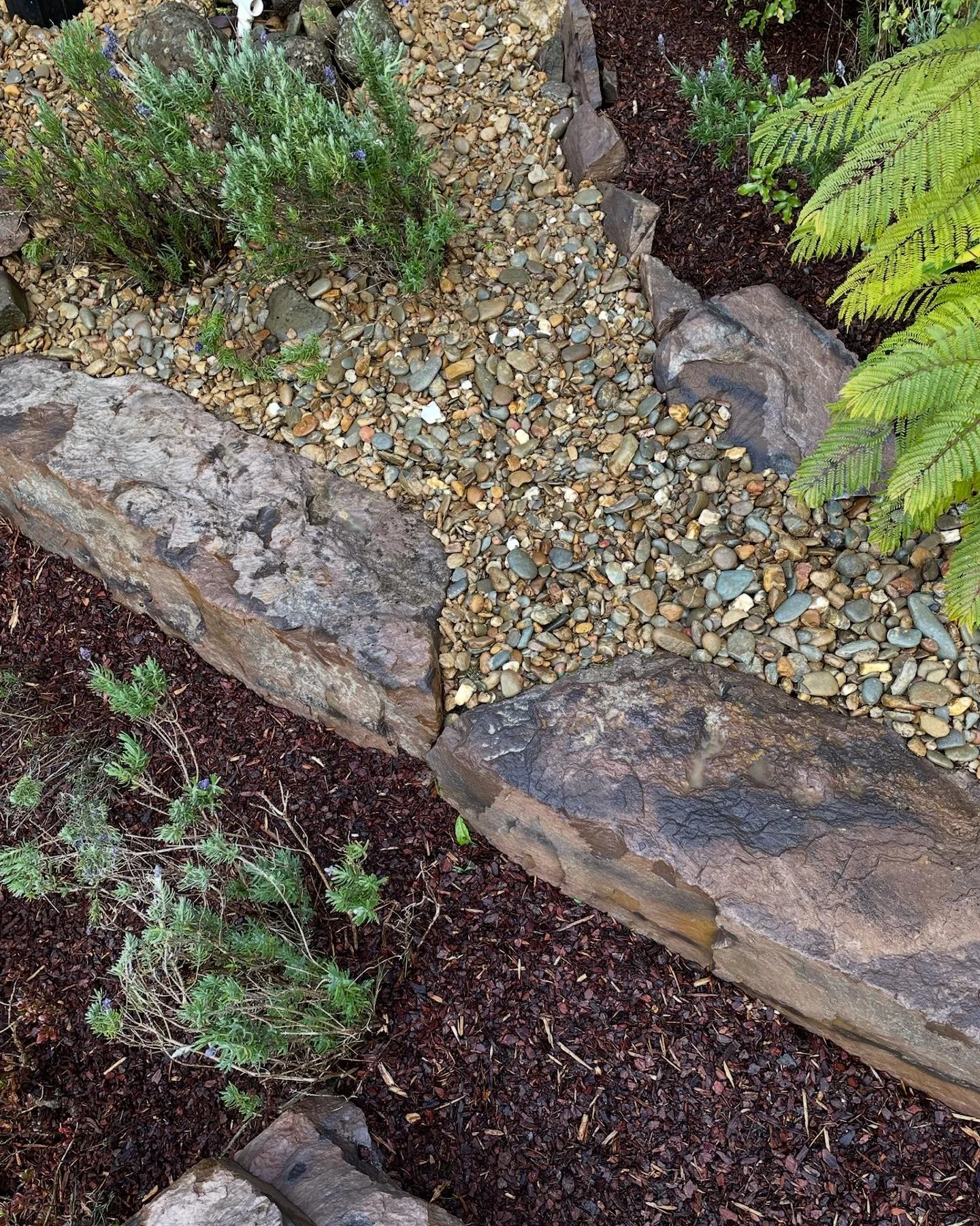 A landscaped garden bed with small pebbles, large rocks, and plants, including green leafy and purple flowering plants, with dark mulch on the ground.