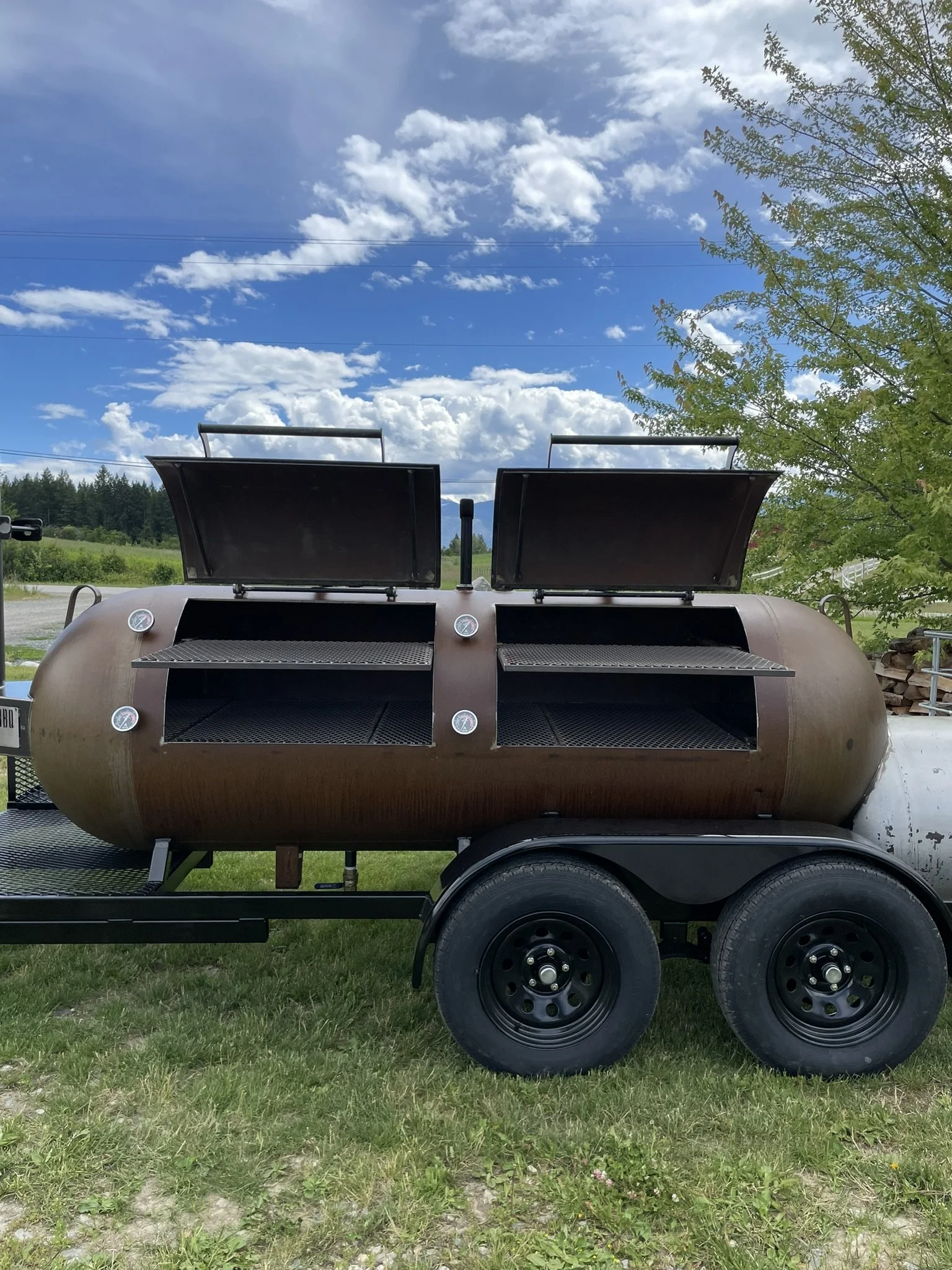 A large portable smoker grill with two separate doors on a trailer, with open lids, positioned outdoors on grassy land with a blue sky, white clouds, and trees in the background.
