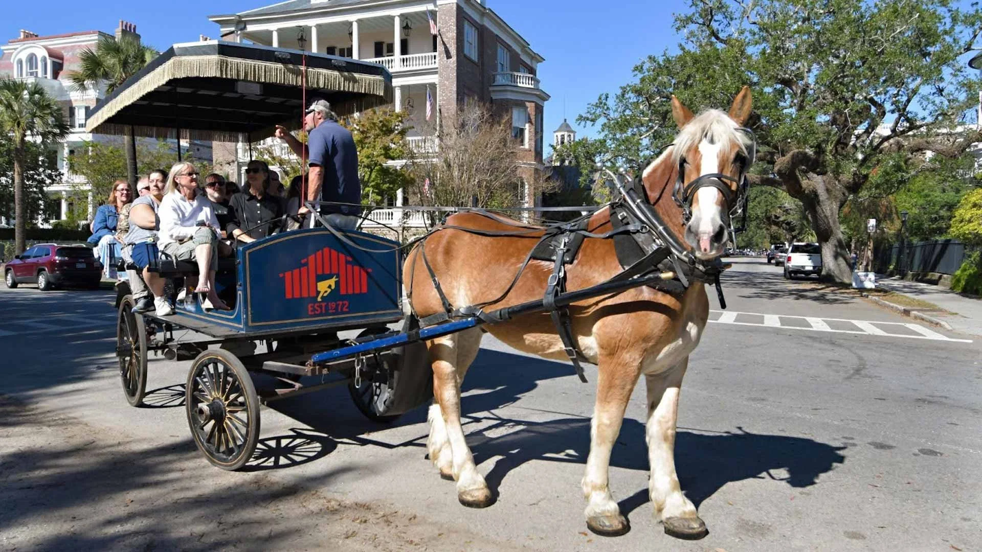 Carriage Tours vs. Walking Tours: Which Is Right for You?