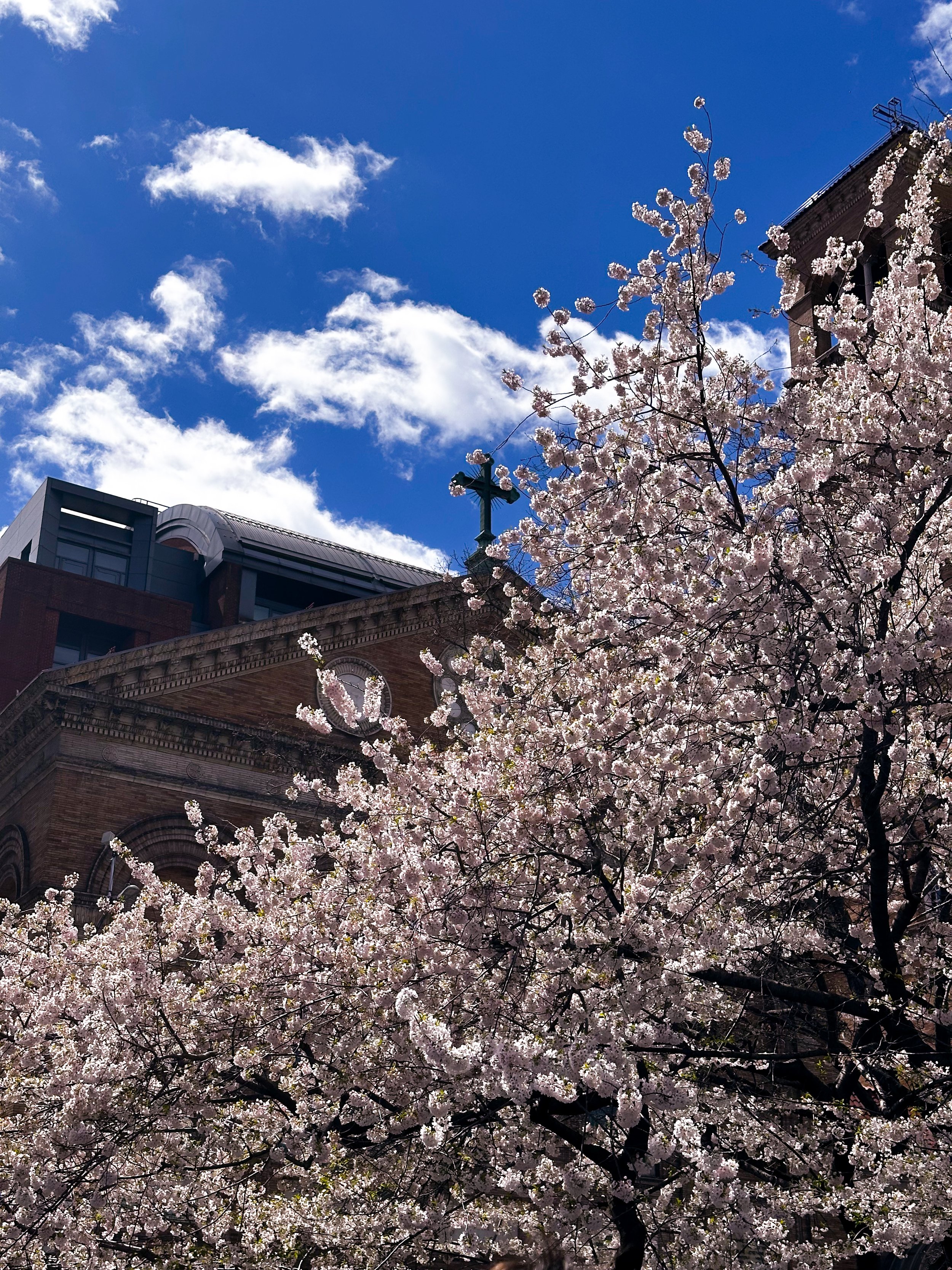 Washington Square Park, New York