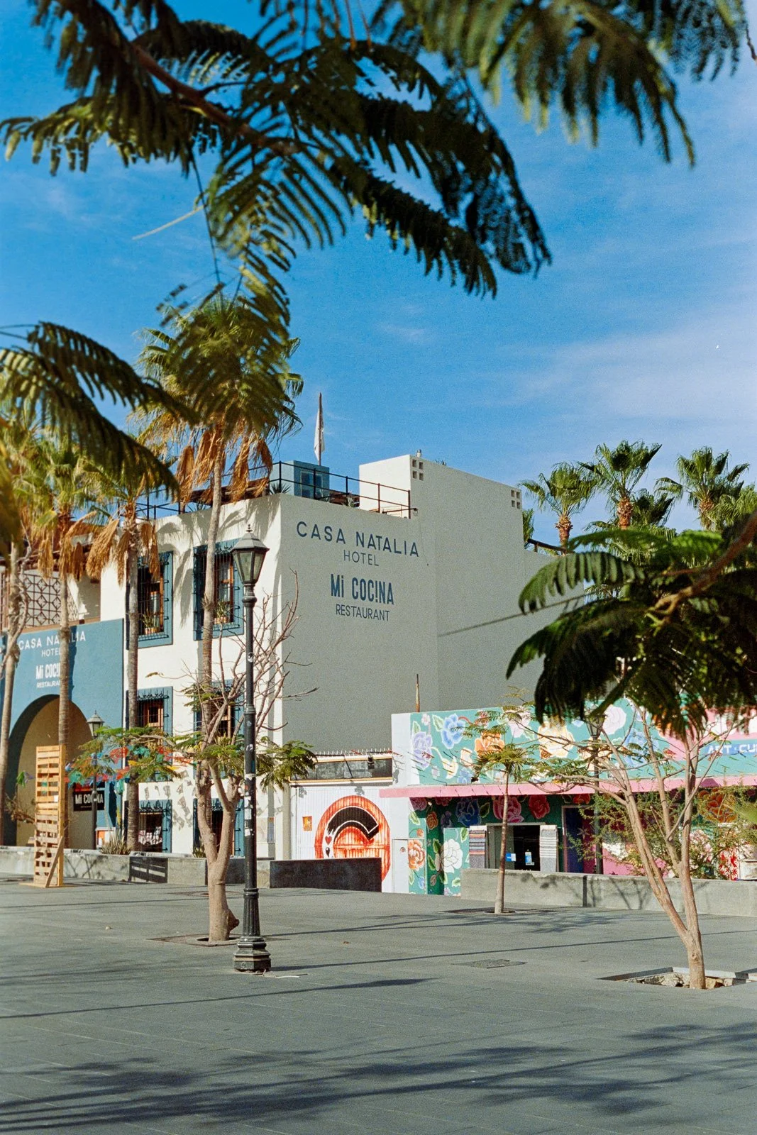 Virgil & Daniel On Film-58.jpg