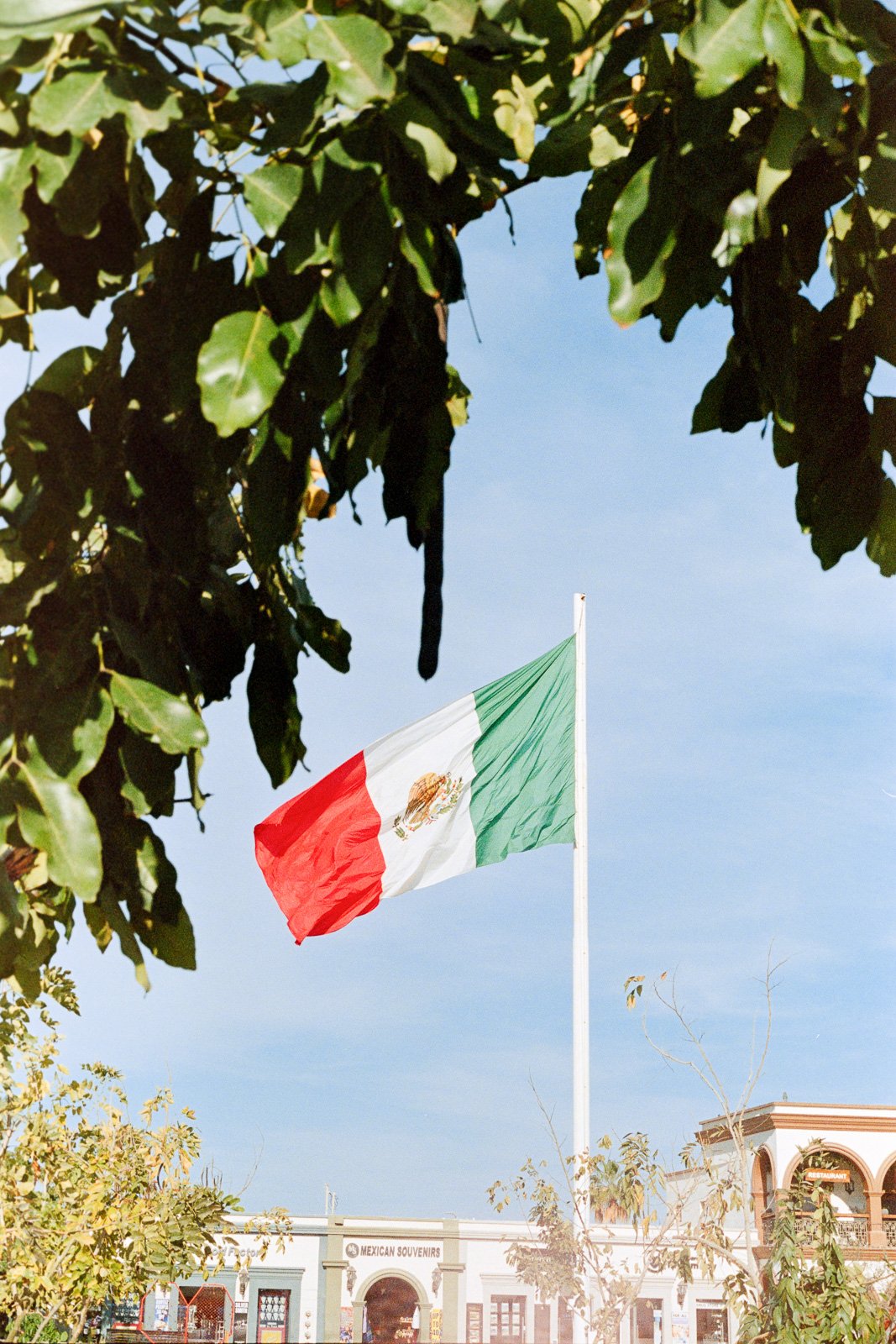 Virgil & Daniel On Film-57.jpg