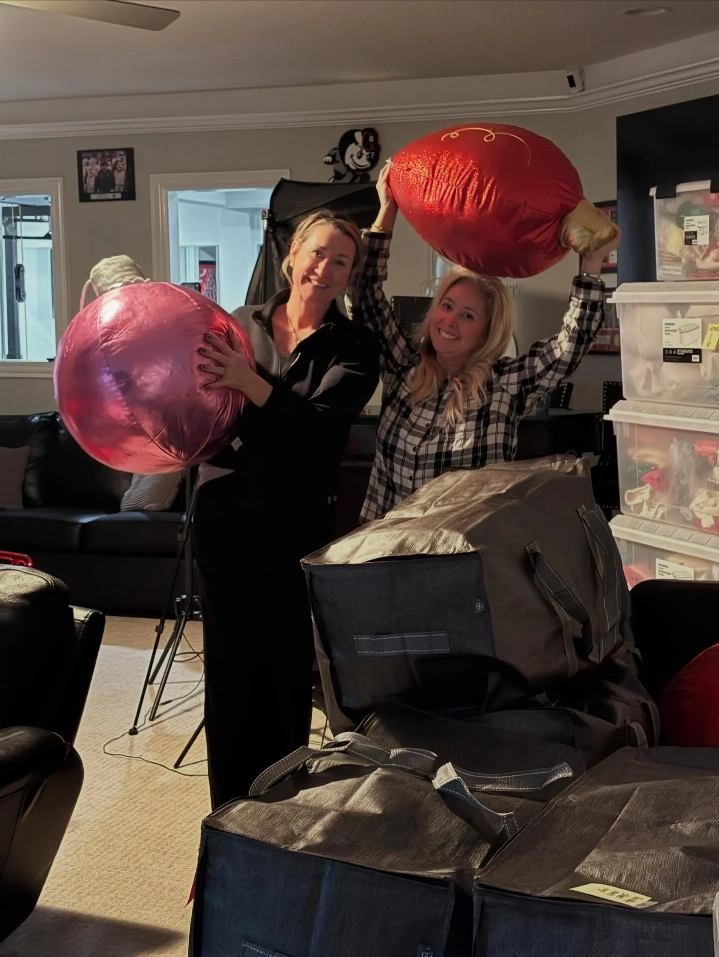 No one can say we don't have fun and love what we do! #orderlyteam #homeorganizing #christmasstoragesolutions #granvilleohio #newarkohio #newalbanyohio