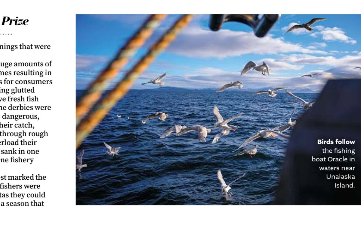 ACEJ Offers Spring Grants for Impact Reporting