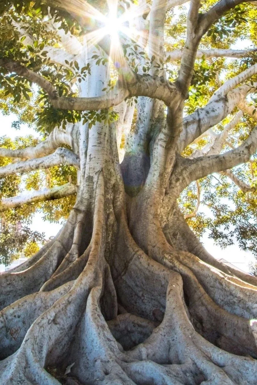 The Way We Attach: Understanding Our Patterns in Love and Letting Go (Part 1).