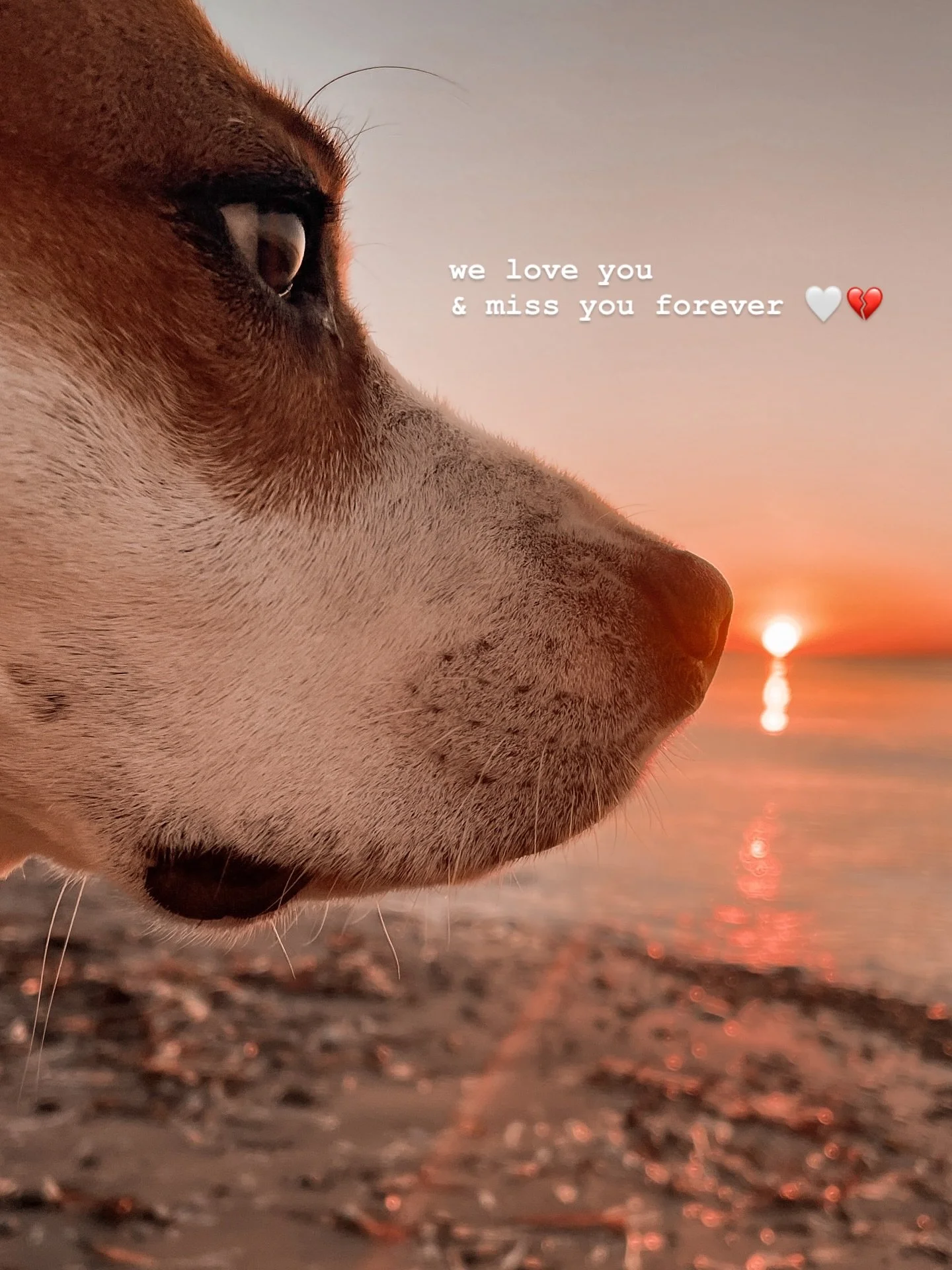 Life lately&hellip; 📸🎢

Was f&uuml;r eine emotionale Achterbahnfahrt.
Die letzten Wochen haben uns mehr als einmal den Atem anhalten lassen. 
Sie haben uns gezeigt, wie nahe gro&szlig;e Freude und tiefe Traurigkeit manchmal aneinander liegen. 🫠💔
