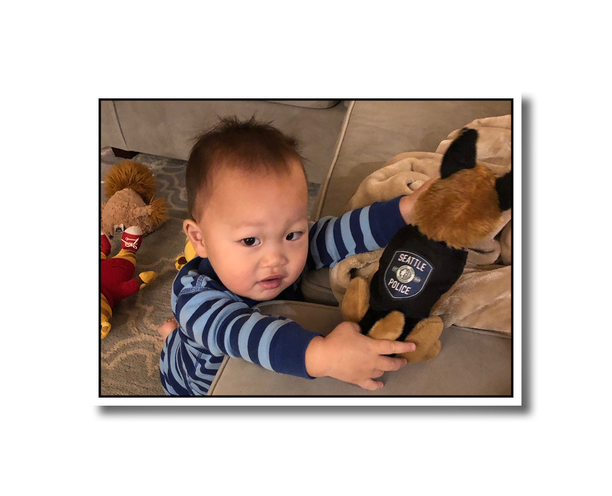 Toddler Noah holding onto a stuffed German Shepherd toy. The dog is wearing a Seattle Police patch.