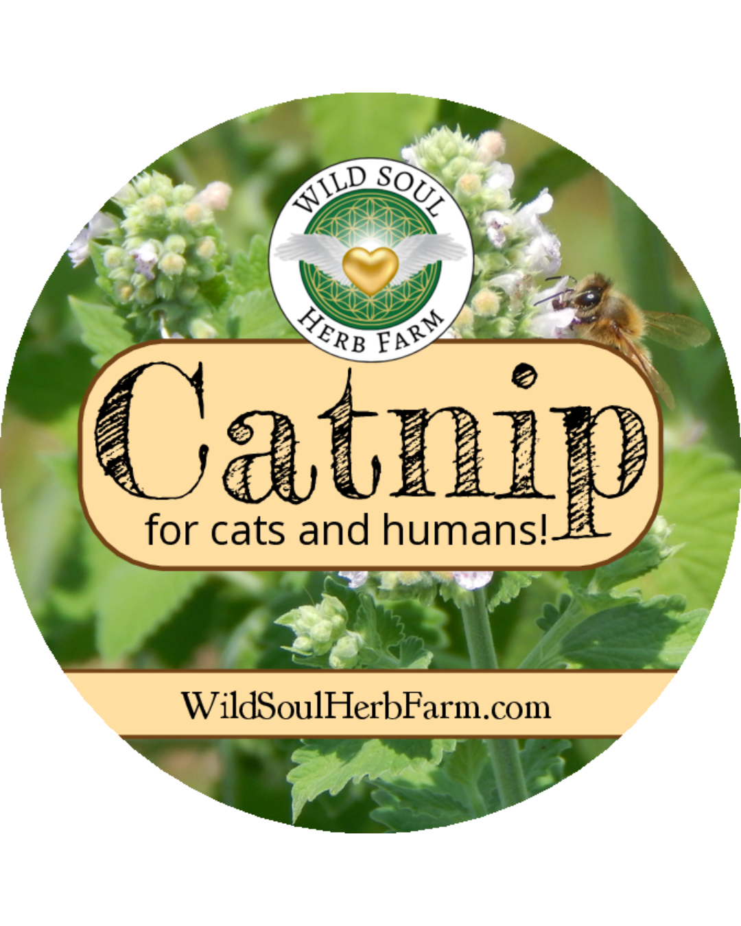 Dried Catnip Nt. Weight 0.3 oz
