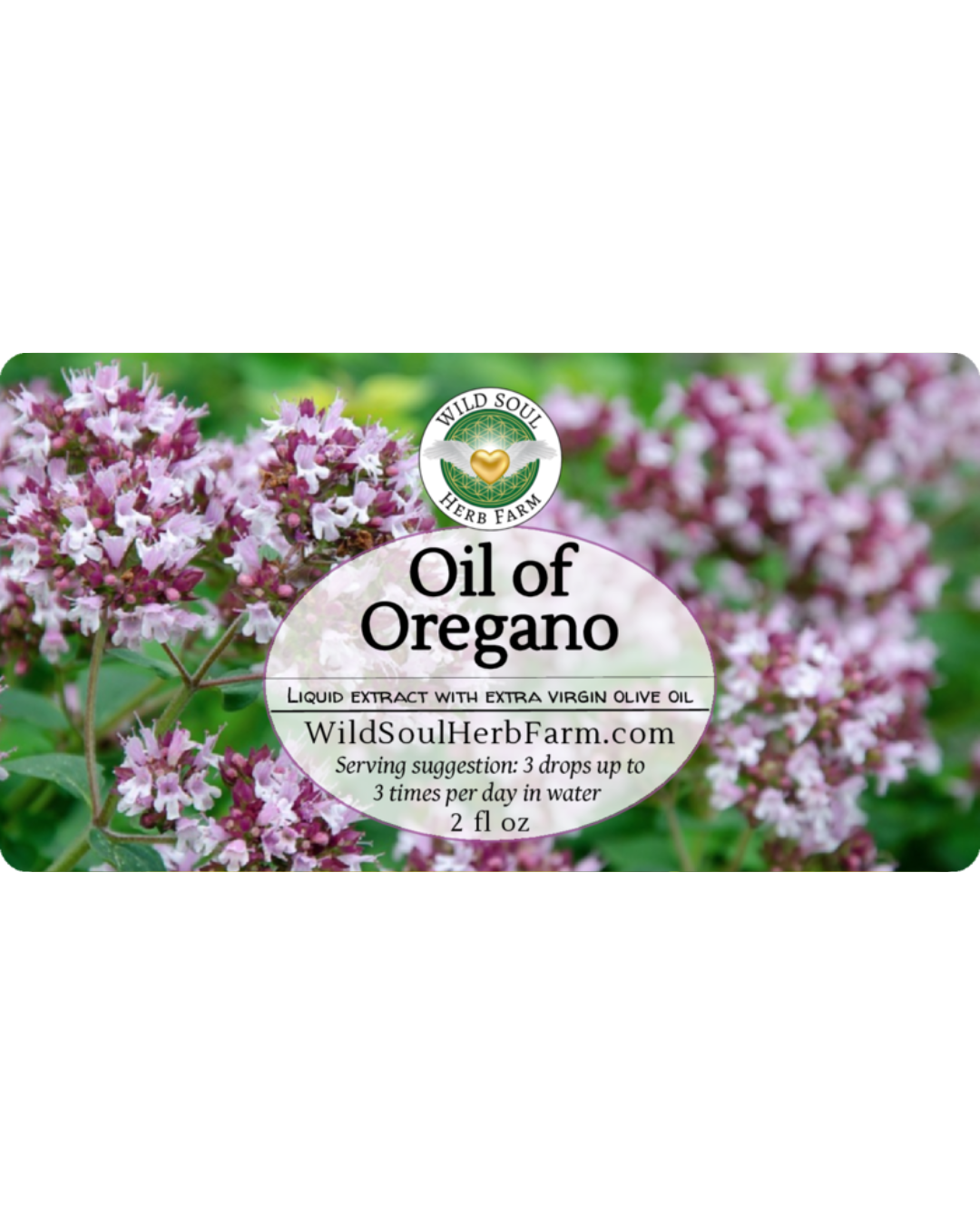 Oil of Oregano