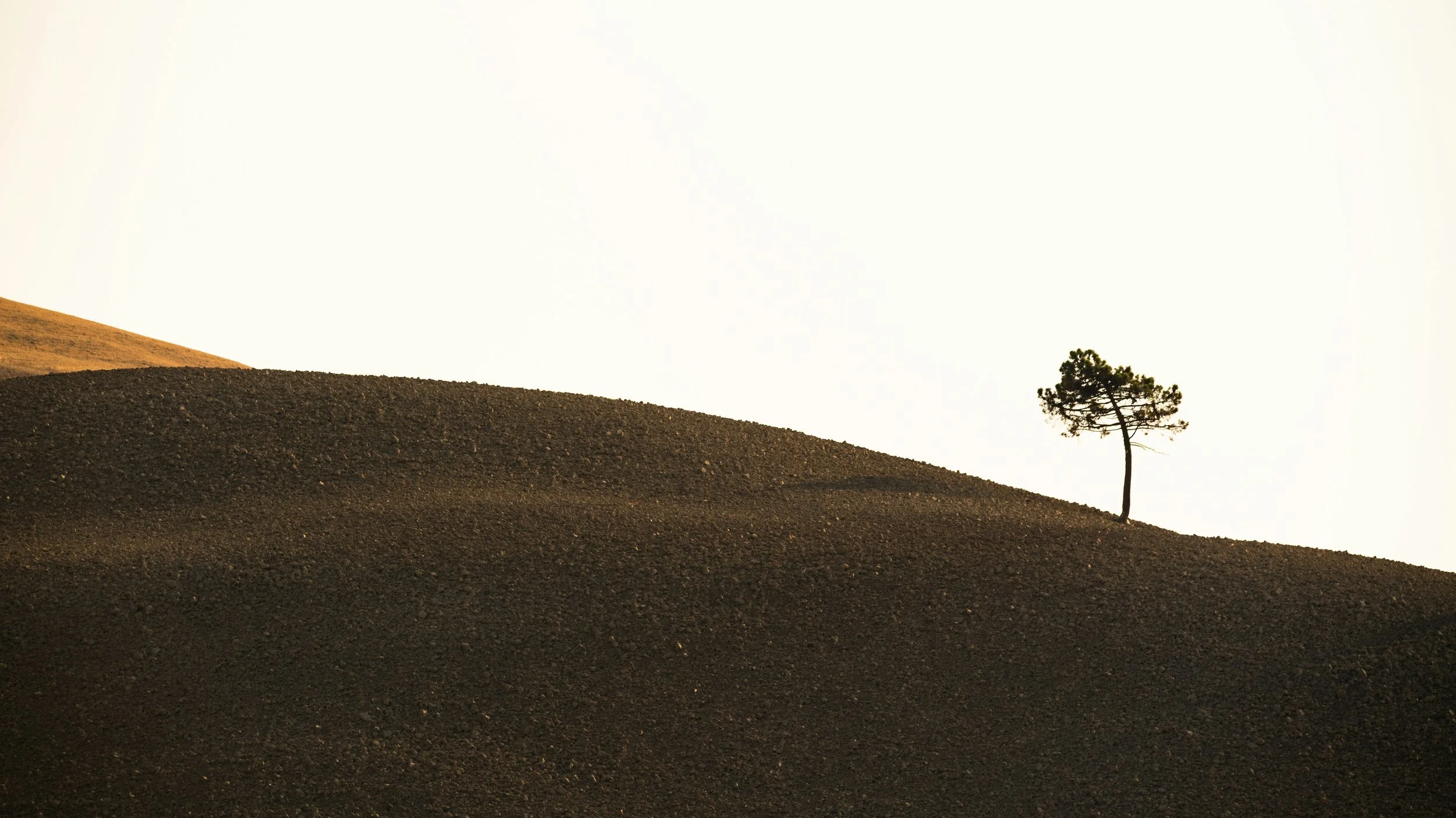 Eco-fables and climate tales: writing environmental stories with a purpose&nbsp;