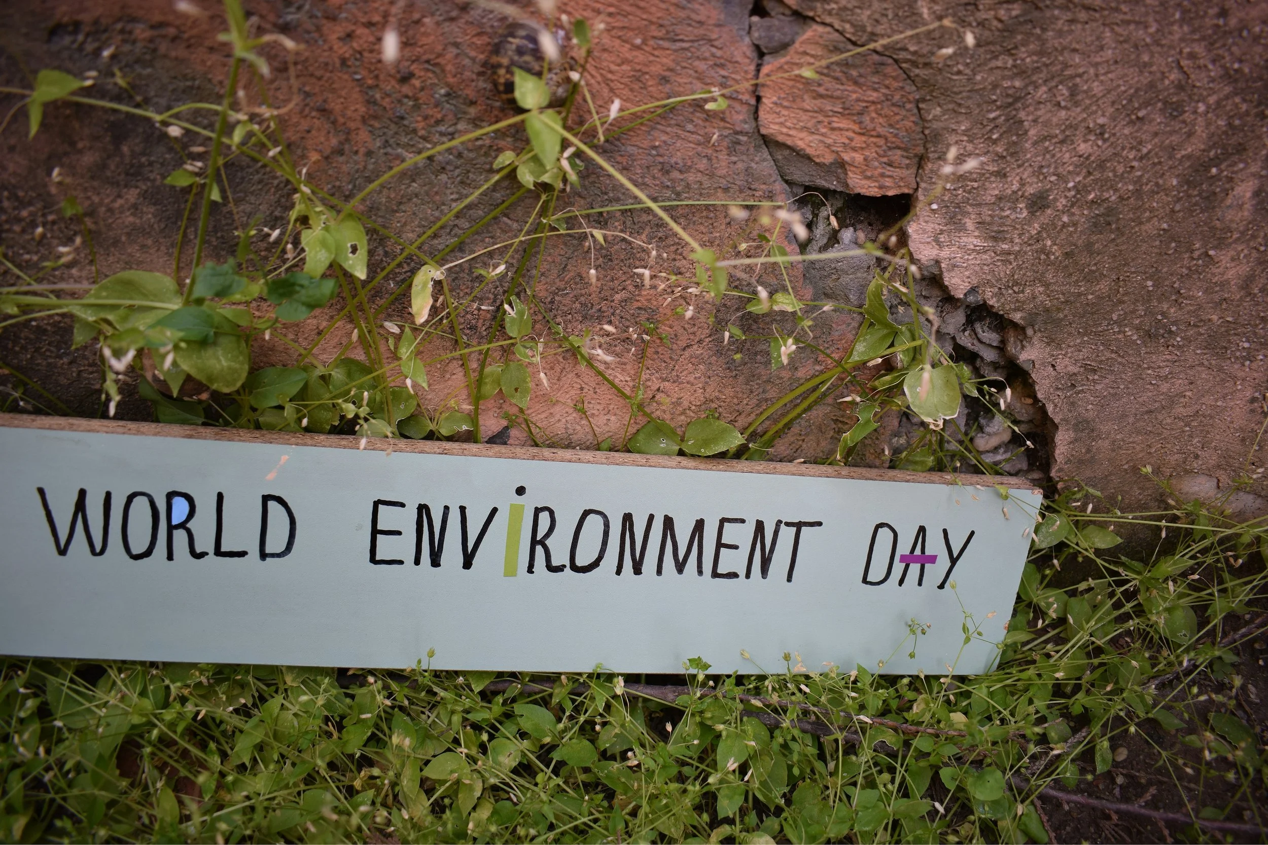 World Environment Day: what it means for the children who inherit our planet