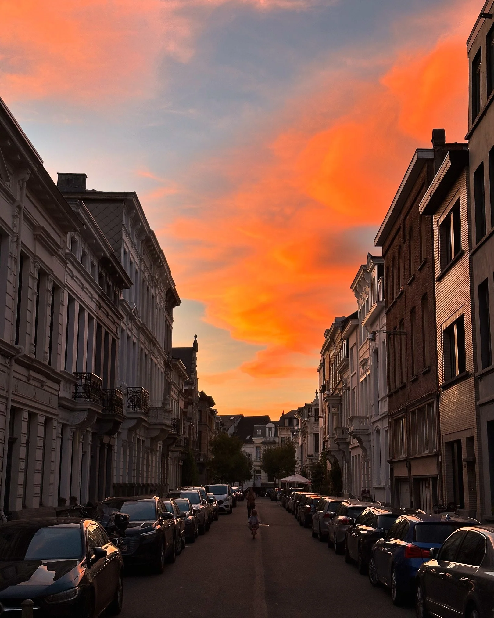 Werkgeluk jobscoach suntalent coaching