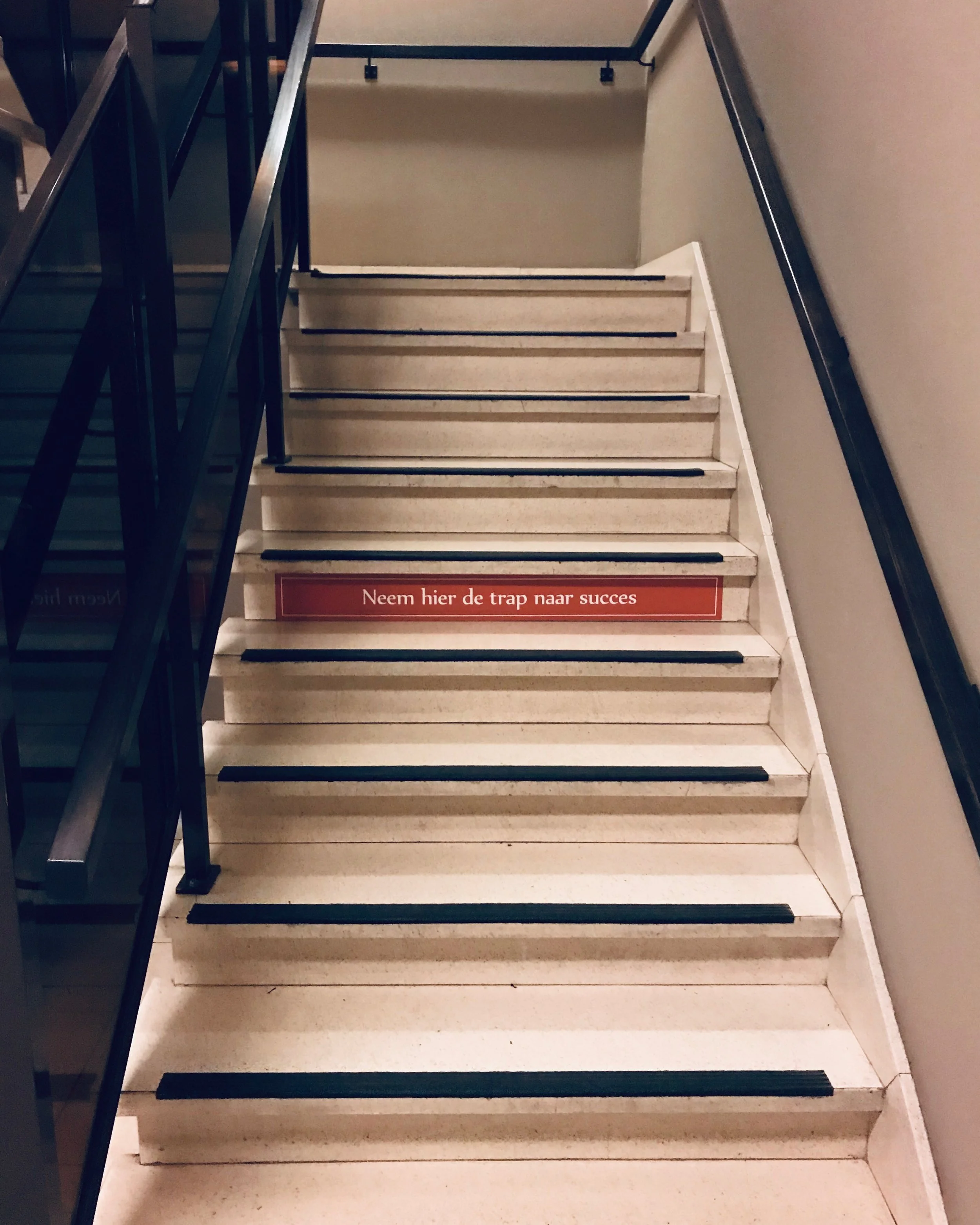 Werkgeluk jobscoach suntalent coaching