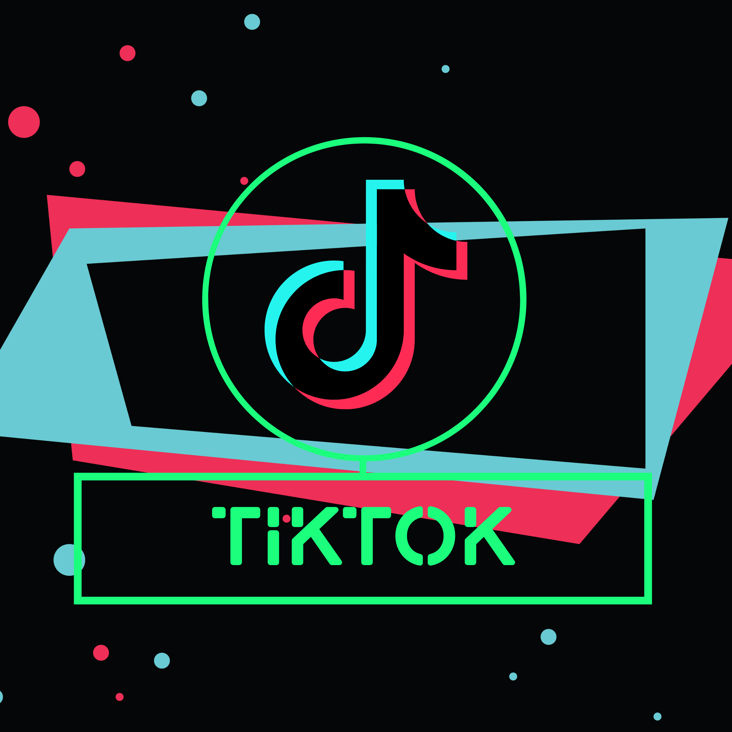 TikTok Insights