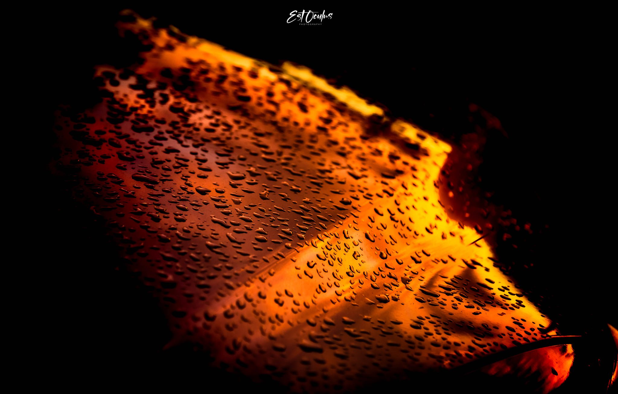 Close-up of water droplets on a glass surface with warm, orange lighting.