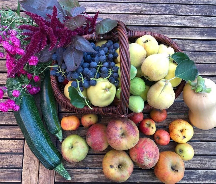 Aus dem Garten 👩🏼&zwj;🌾