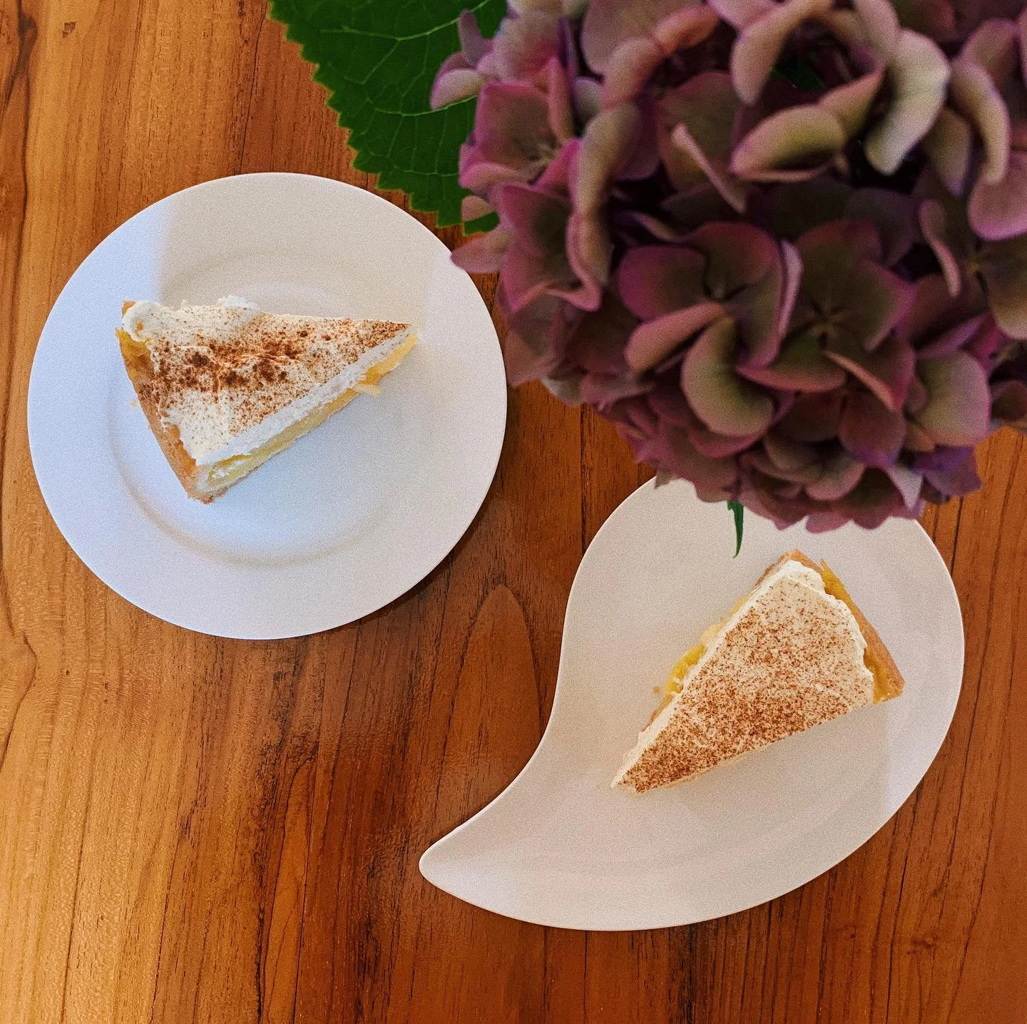 Apfelweintorte mit &Auml;pfeln aus dem Garten 🤭🧁🍎