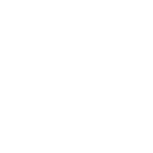 MICHELIN PILOT CHALLENGE