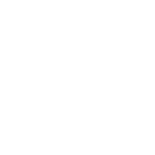 MICHELIN PILOT CHALLENGE