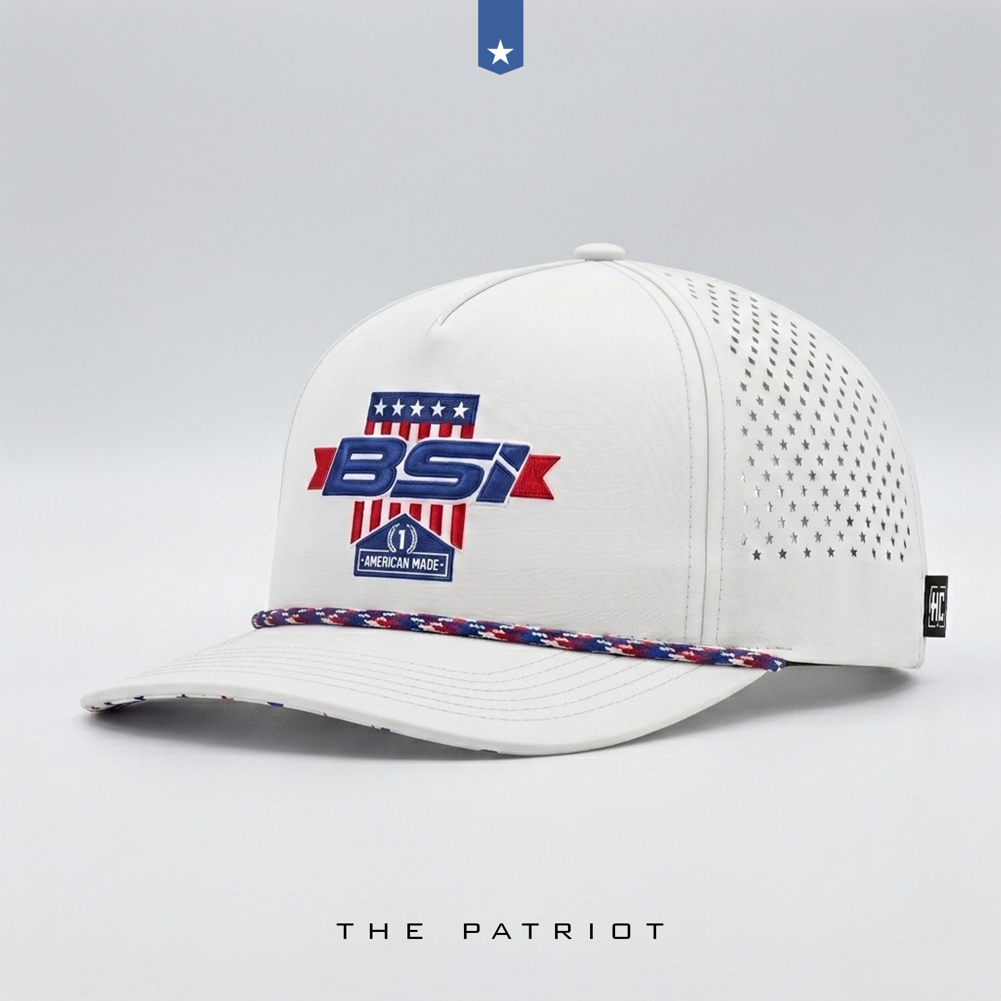 BSI-USA-2.png