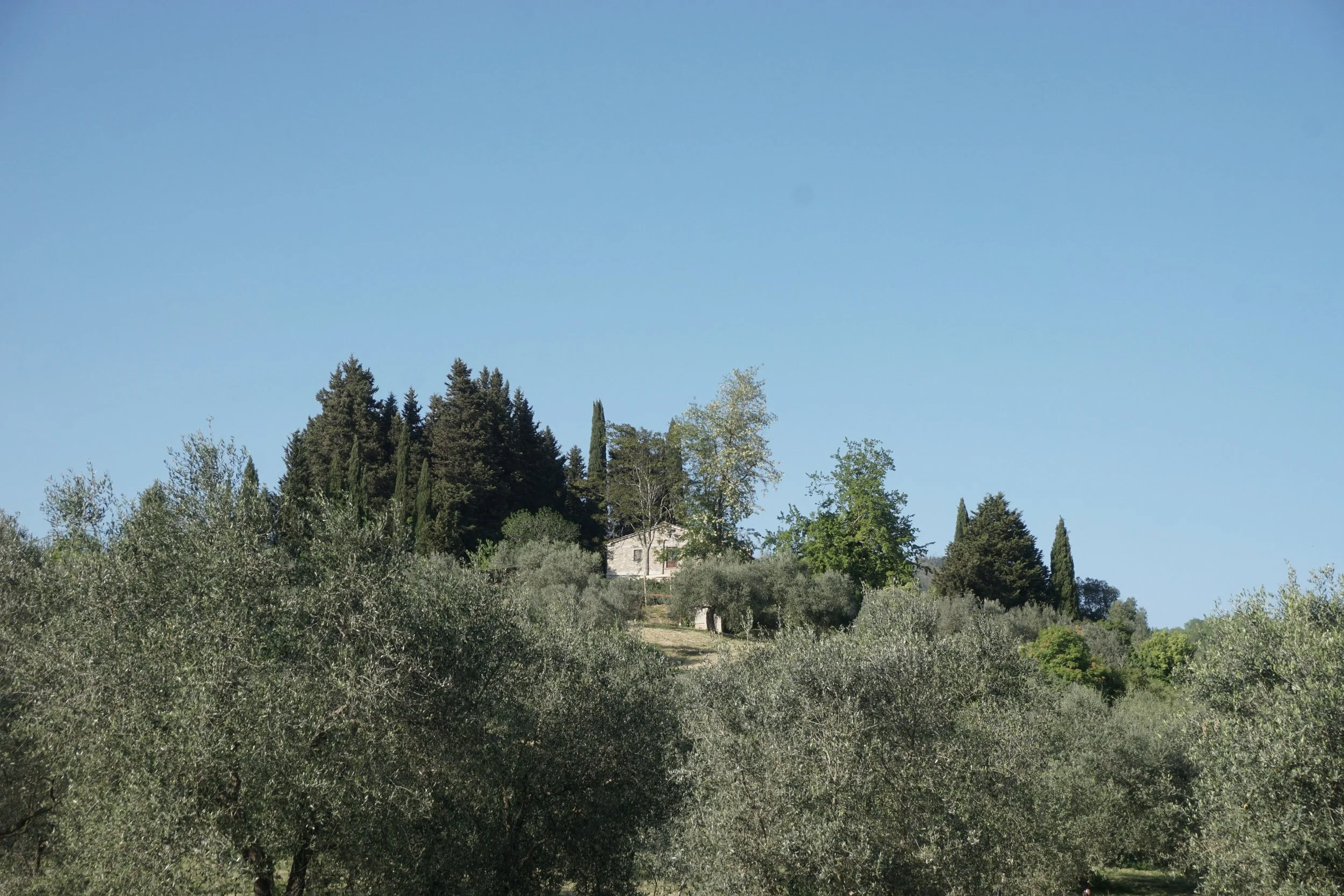 DSC06550.JPG