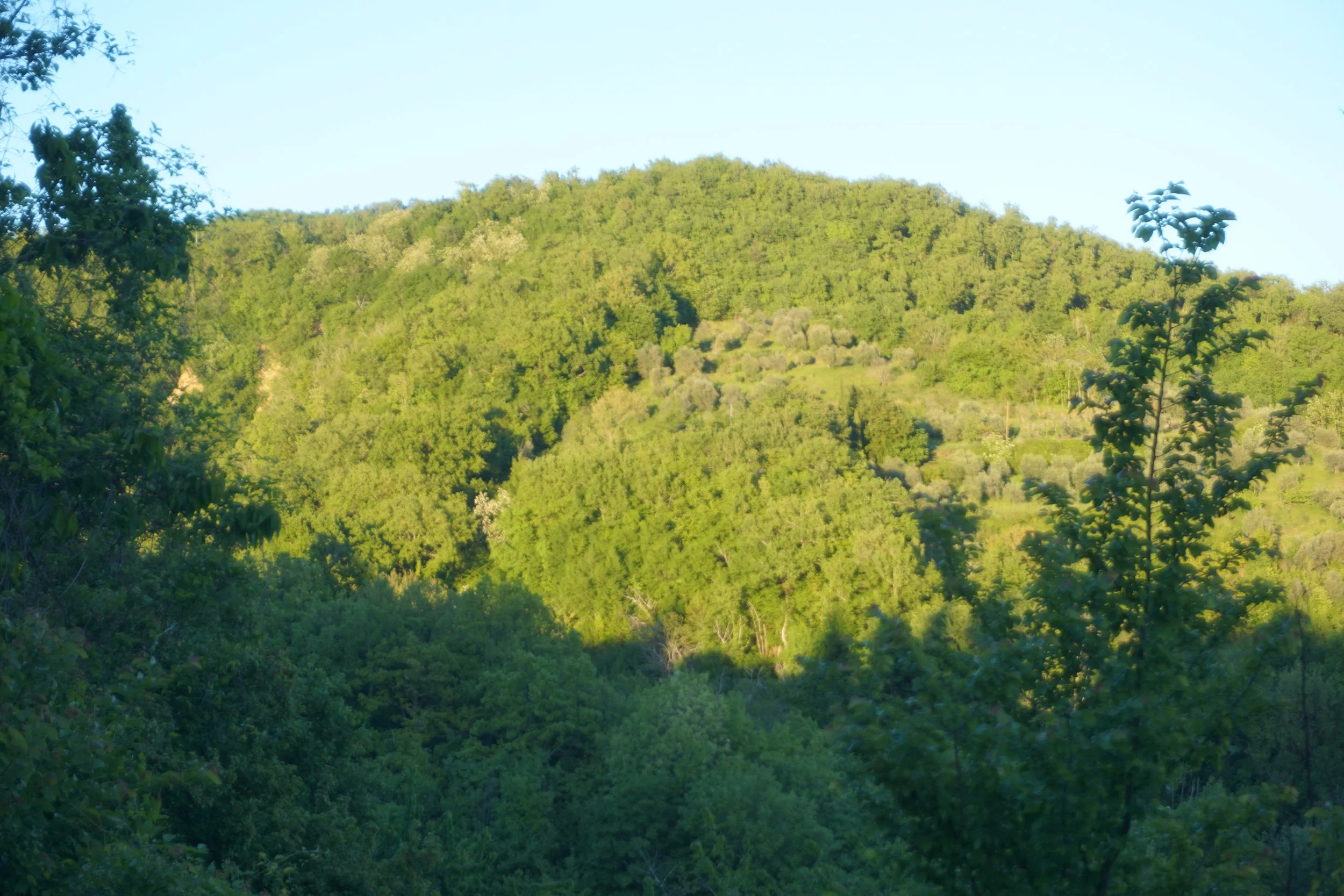 DSC06603.JPG