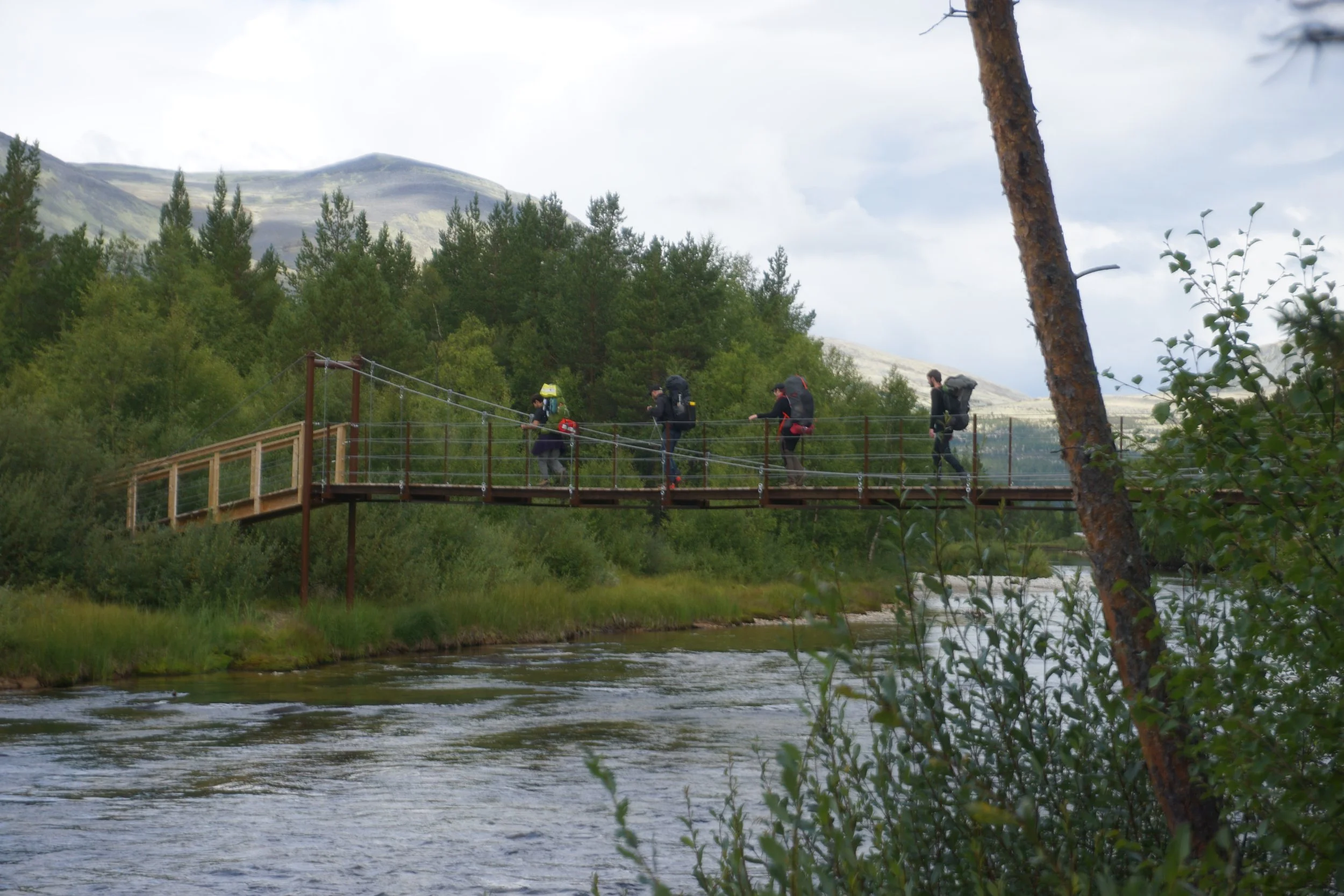 Some traditional bridges 
