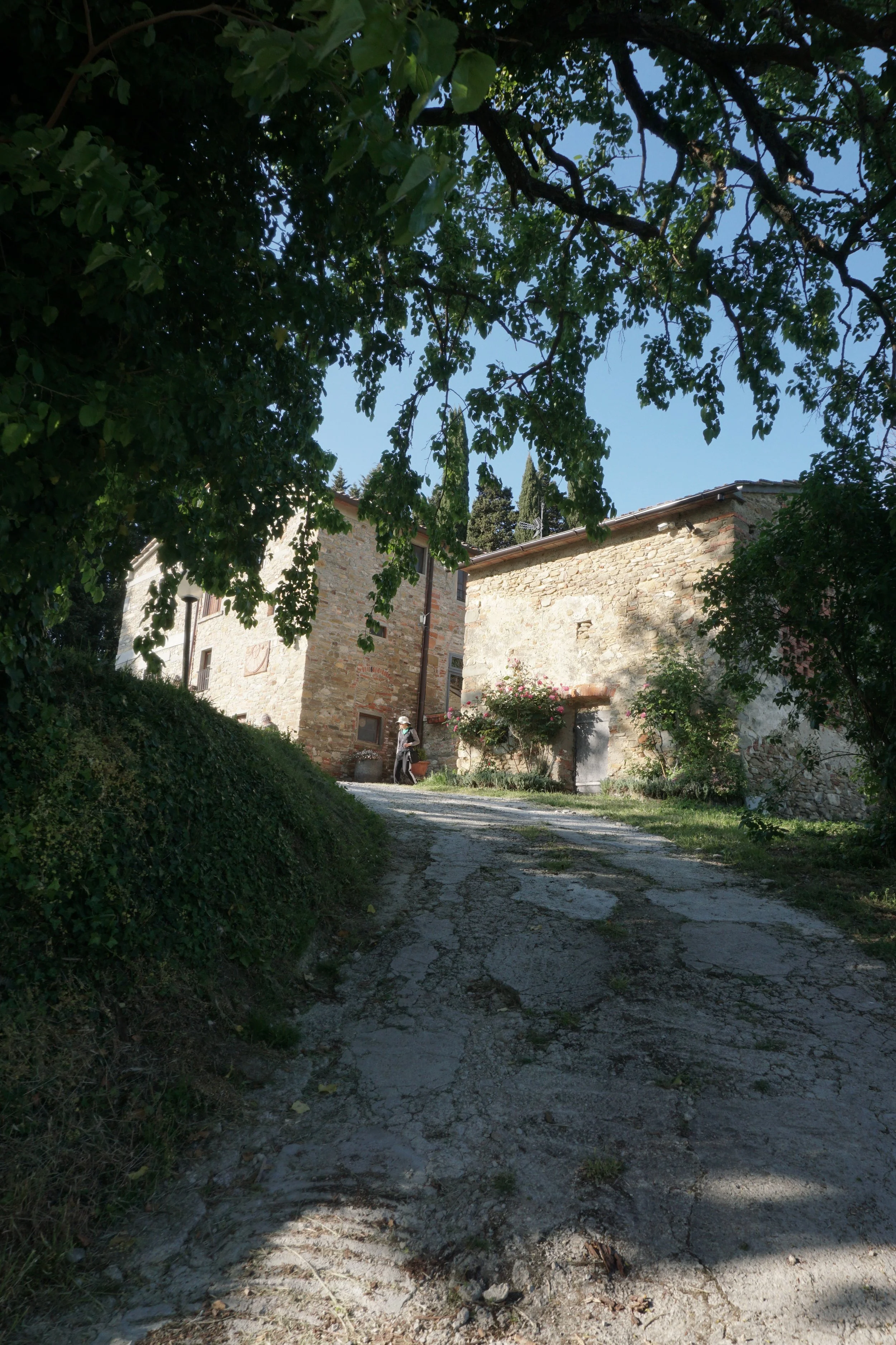 DSC06559.JPG