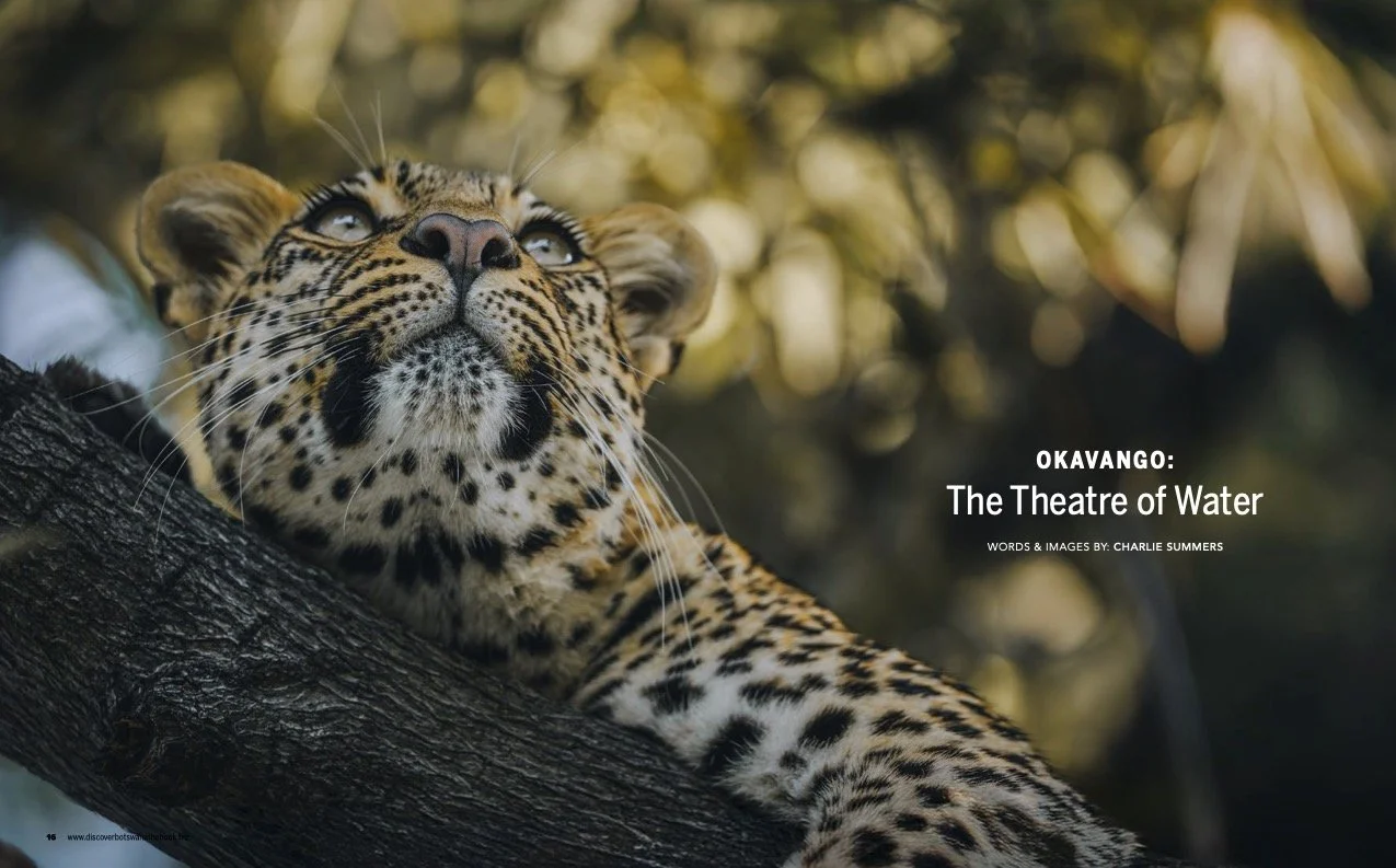 Discover Botswana 2026 - 1.jpg