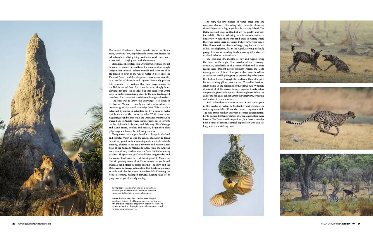 Discover Botswana 2026 - 3 .jpg
