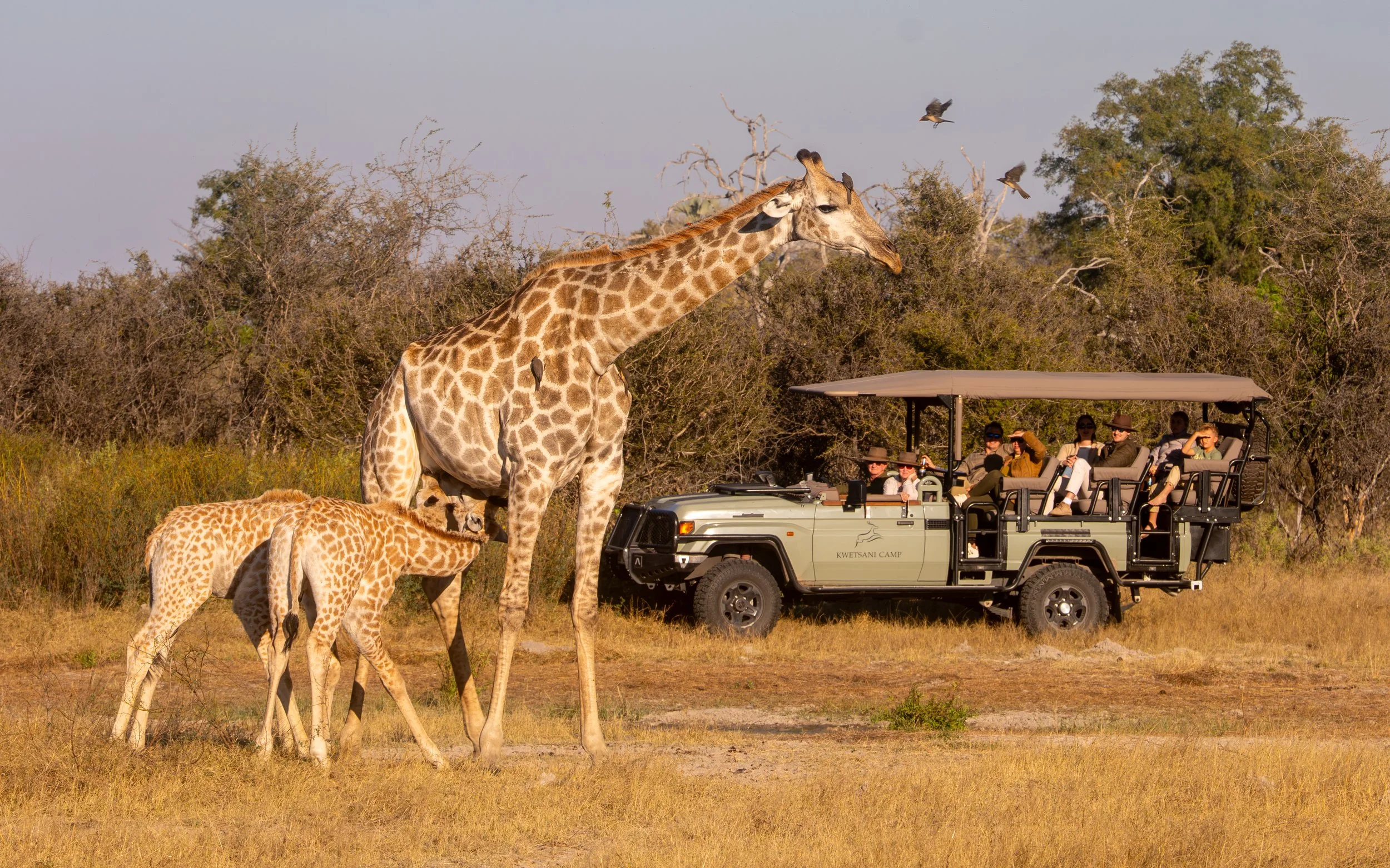 JAO RESERVE_KWETSANI_2026_SUMMERS-153.jpg