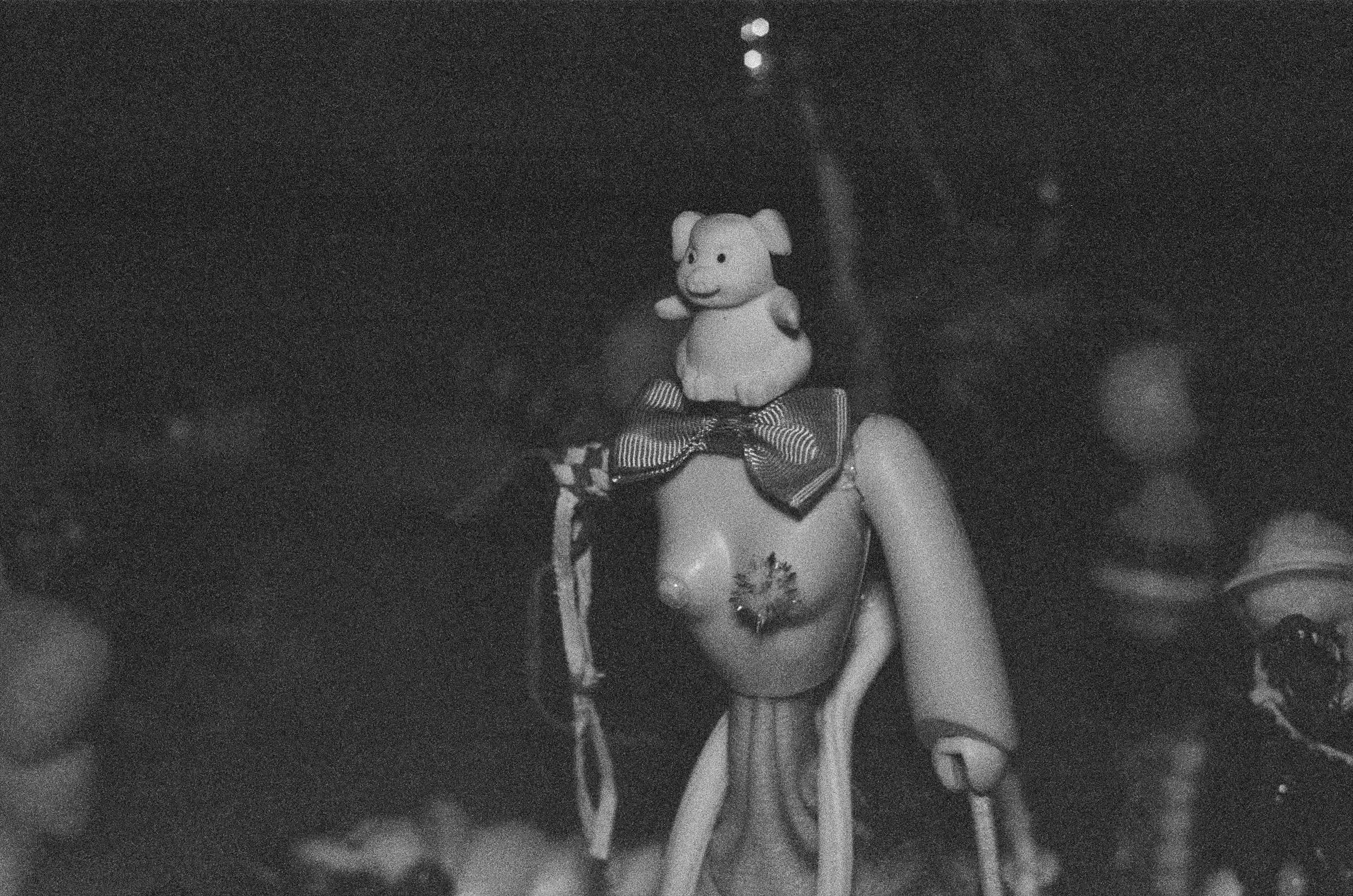 2026-09-polari-r1-20.jpg