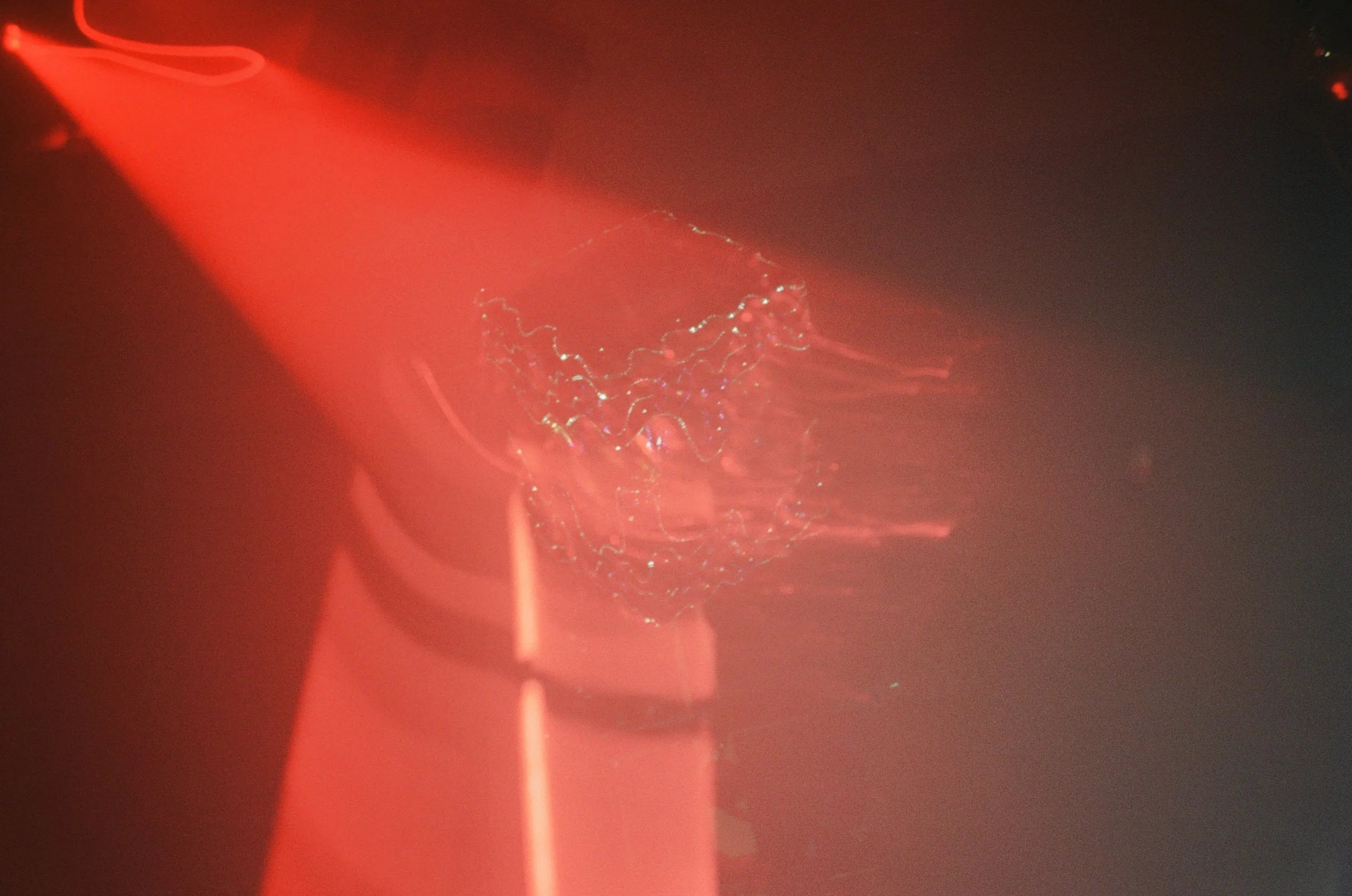 2026-09-melt-r4-03.jpg