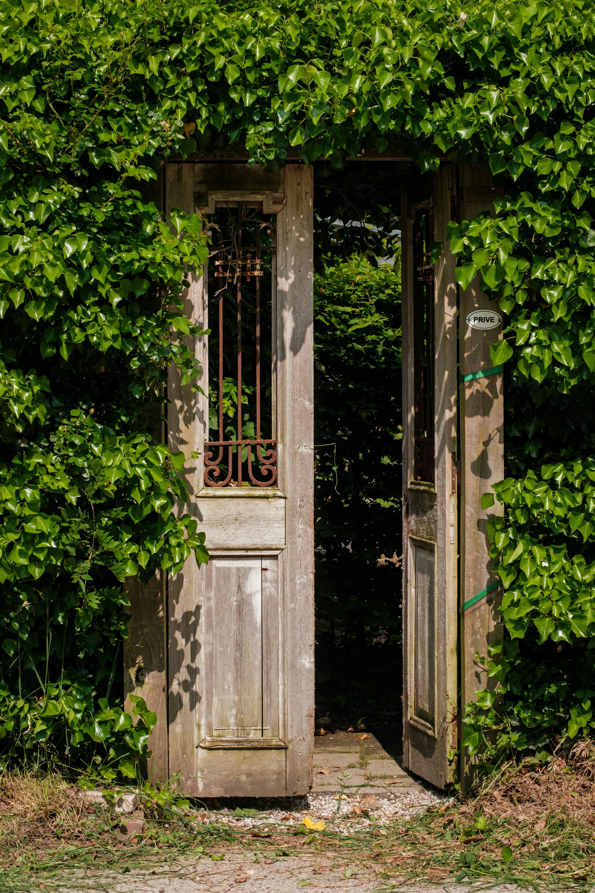 Porte en bois ancienne entourée de feuillage vert avec un panneau "Privé".