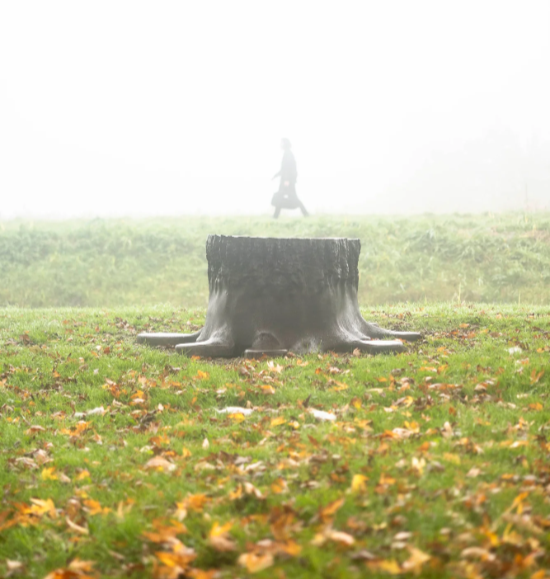 Tree stump in a grassy park with fallen leaves, foggy background, and a distant blurred figure walking.