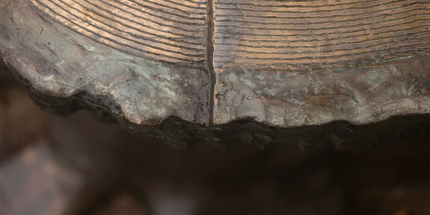 Close-up of the cross-section of a tree trunk showing growth rings and textured bark.