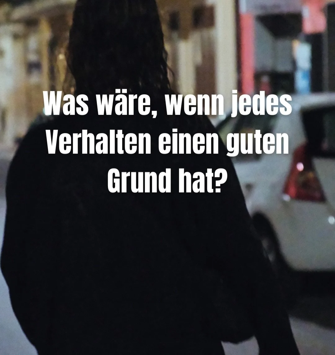 Aus p&auml;dagogischer und systemischer Perspektive gilt eine zentrale Annahme: Verhalten entsteht selten ohne Grund.

Die sogenannte Anekdote des guten Grundes beschreibt die Haltung, dass jedes Verhalten &ndash; auch herausforderndes &ndash; aus Si