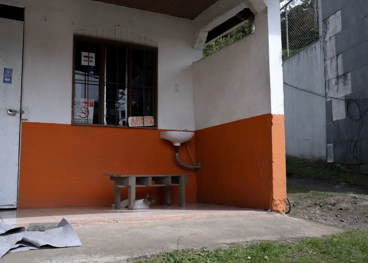 A week in Costa Rica 

so surreal to be able to experience this part of the world this December before starting off the new year ☺️☺️ here are some moments I found myself wandering in 🧡 pura vidaa