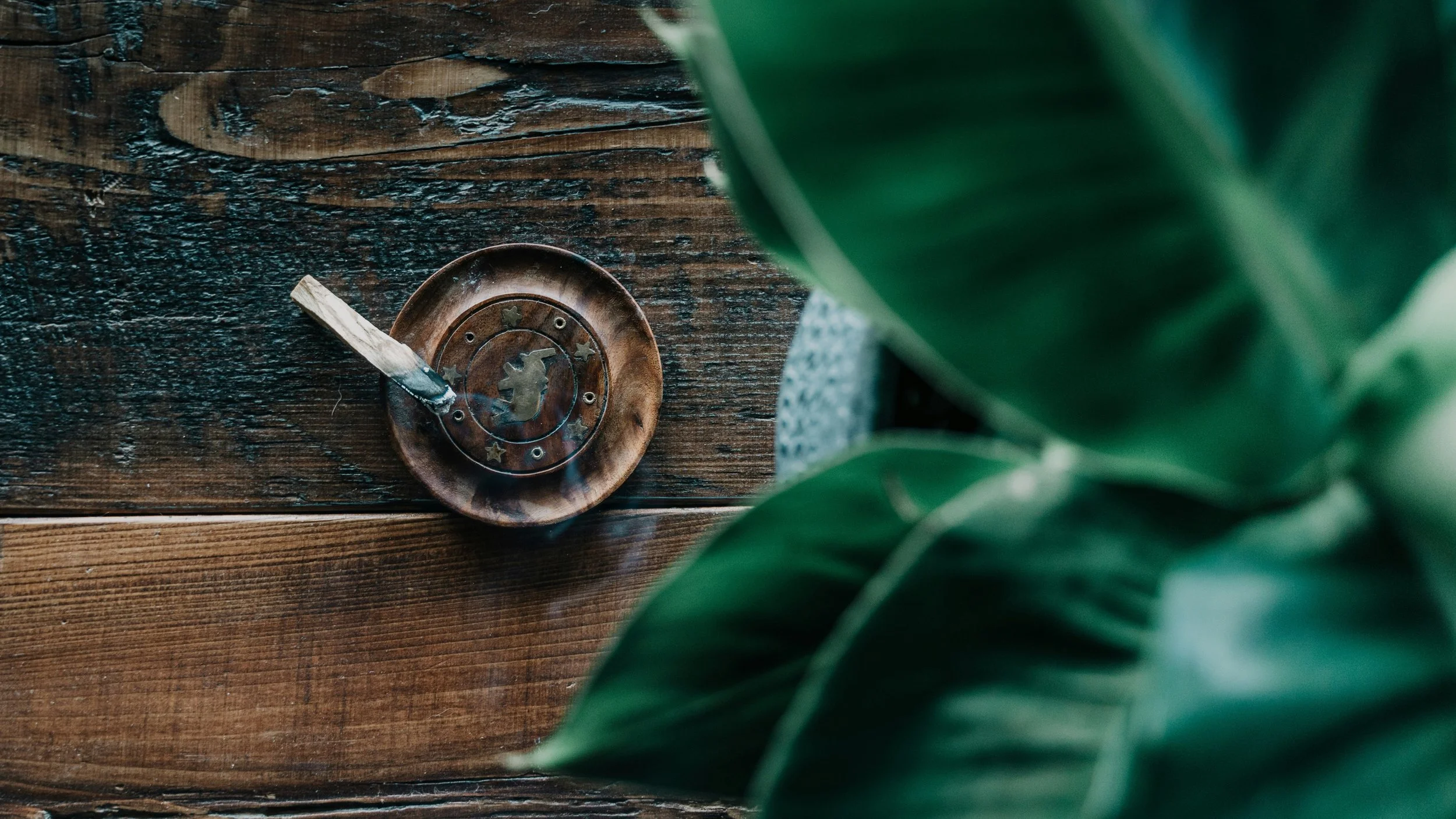 Our Home, in a Scent: Palo Santo