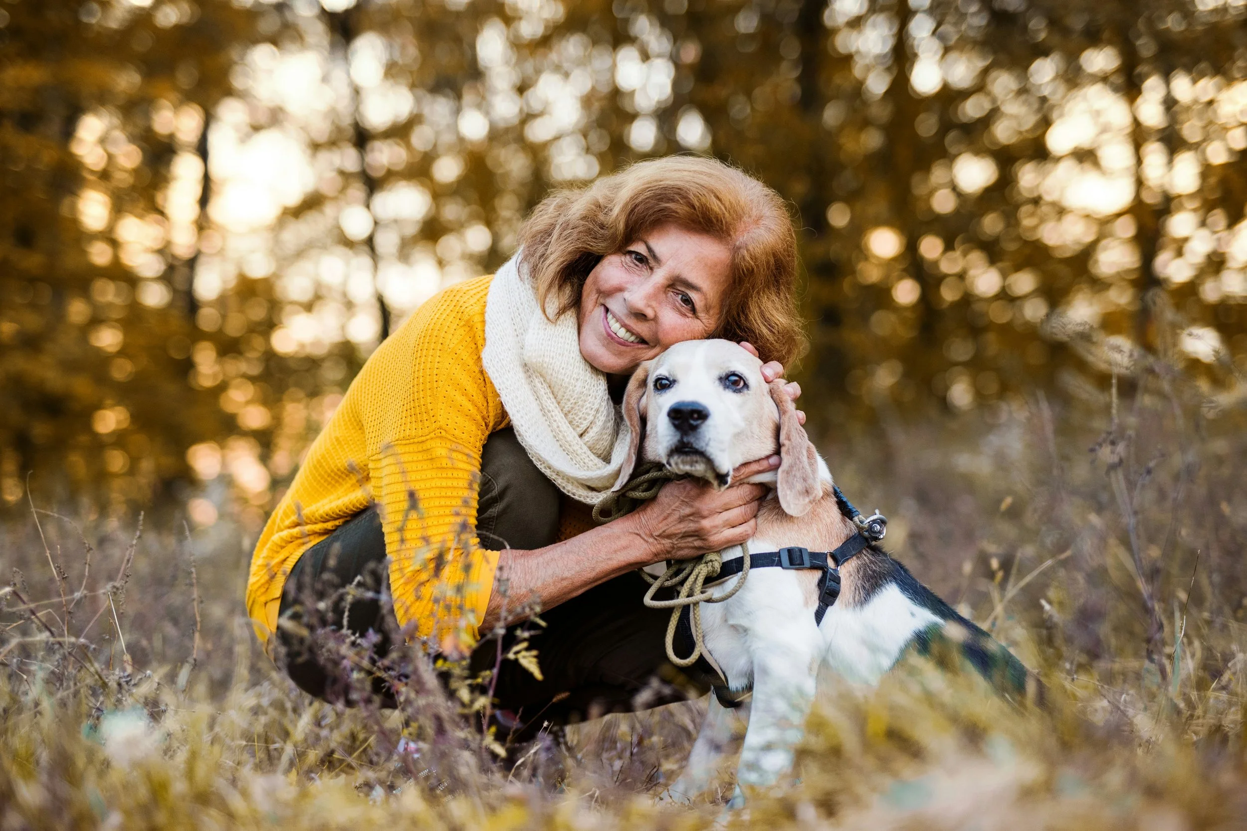 Emotional Guest Journey Map: The Pet Holiday-er