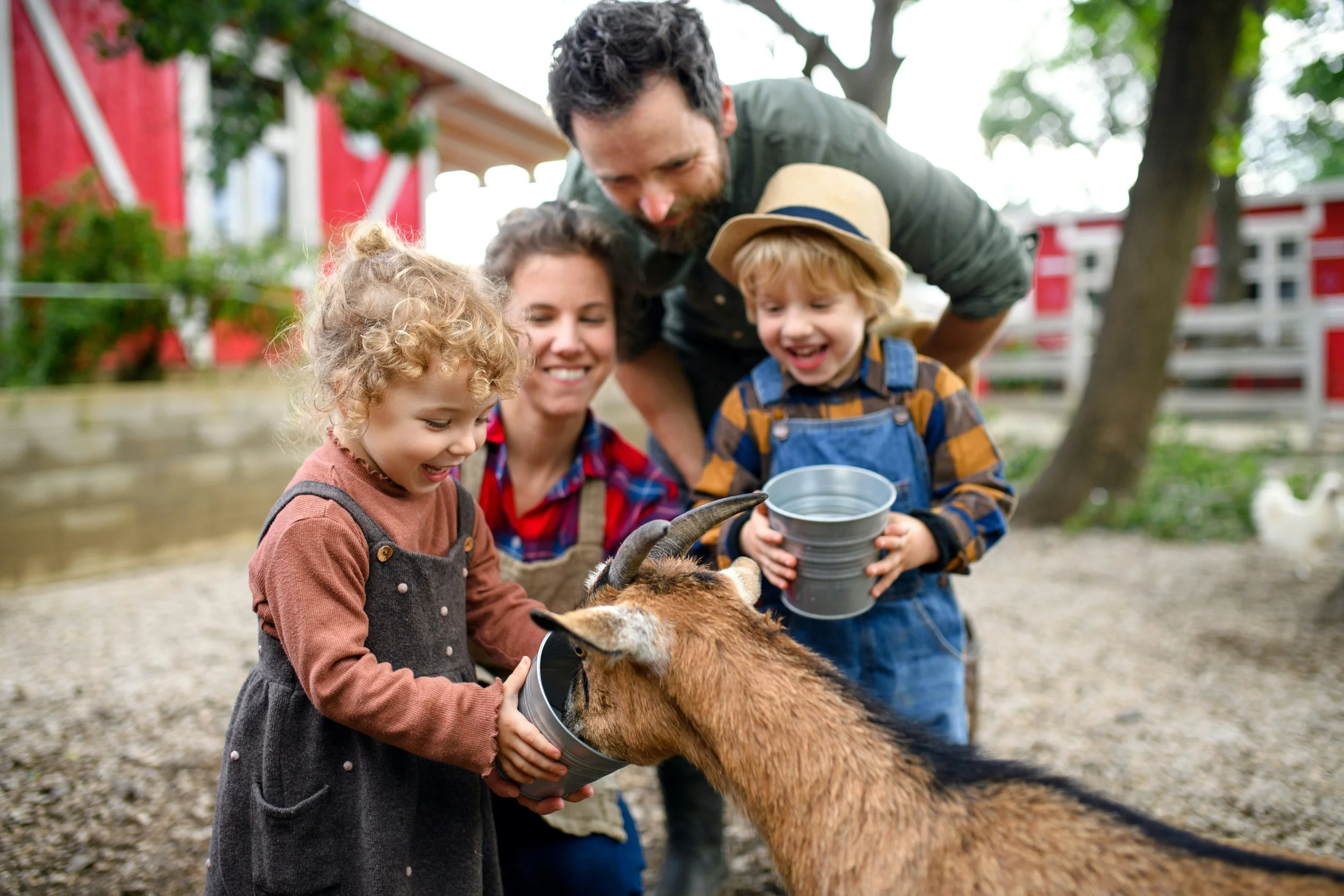 Emotional Guest Journey Map: The Farm Stay Family