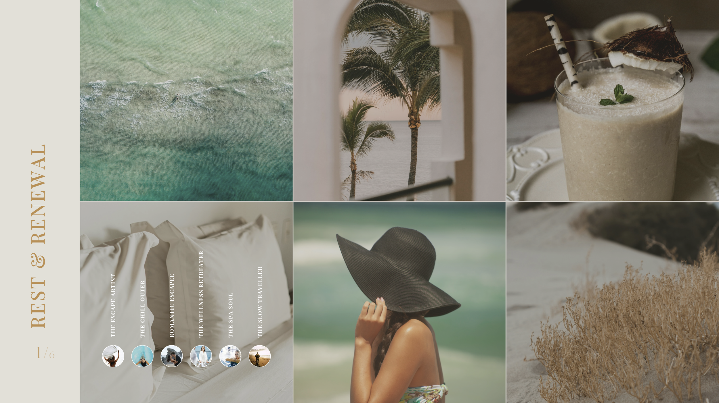 guest types and personas.png