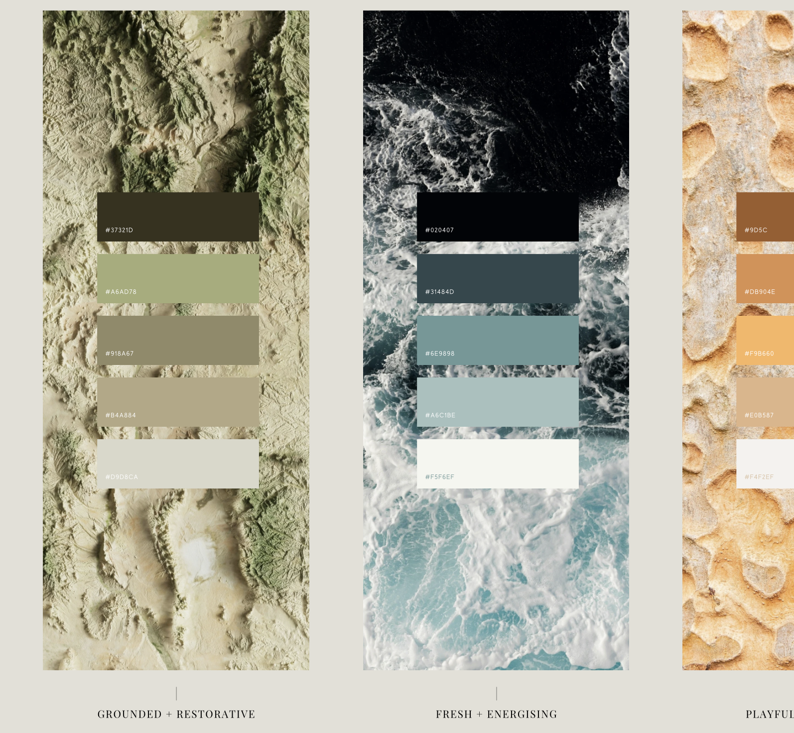 colour texture theory applied.png