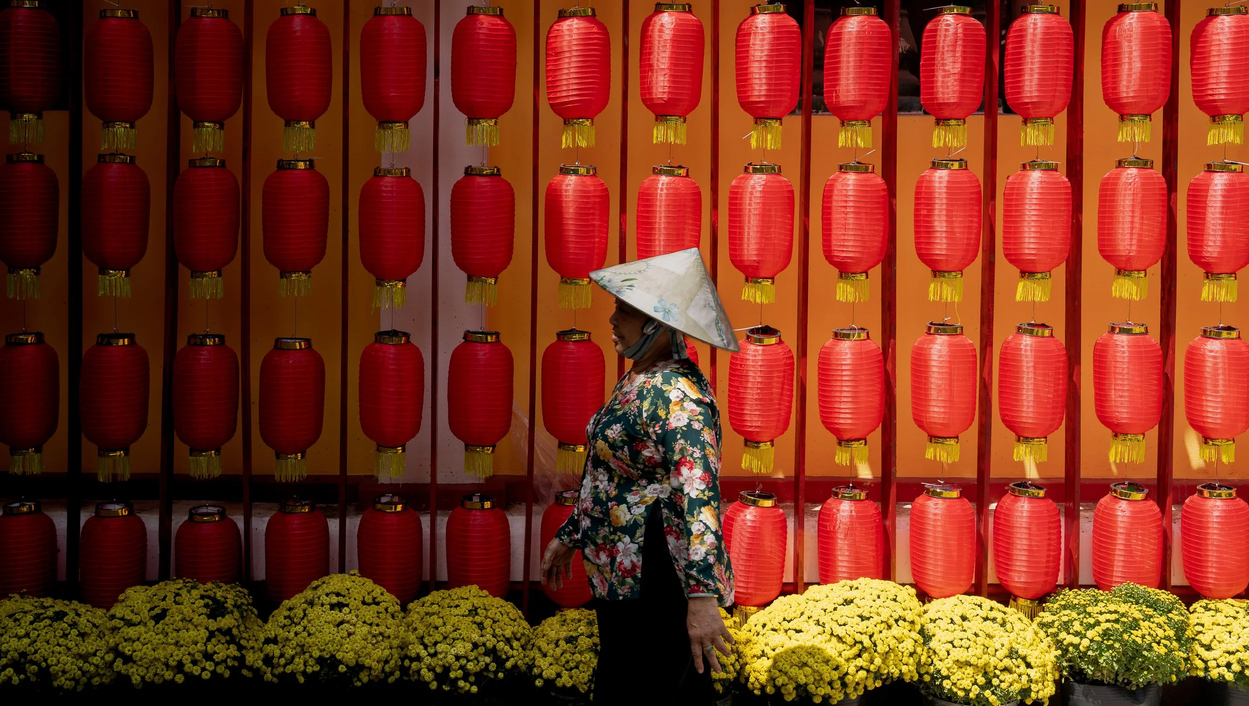 vietnam lanterns.jpg