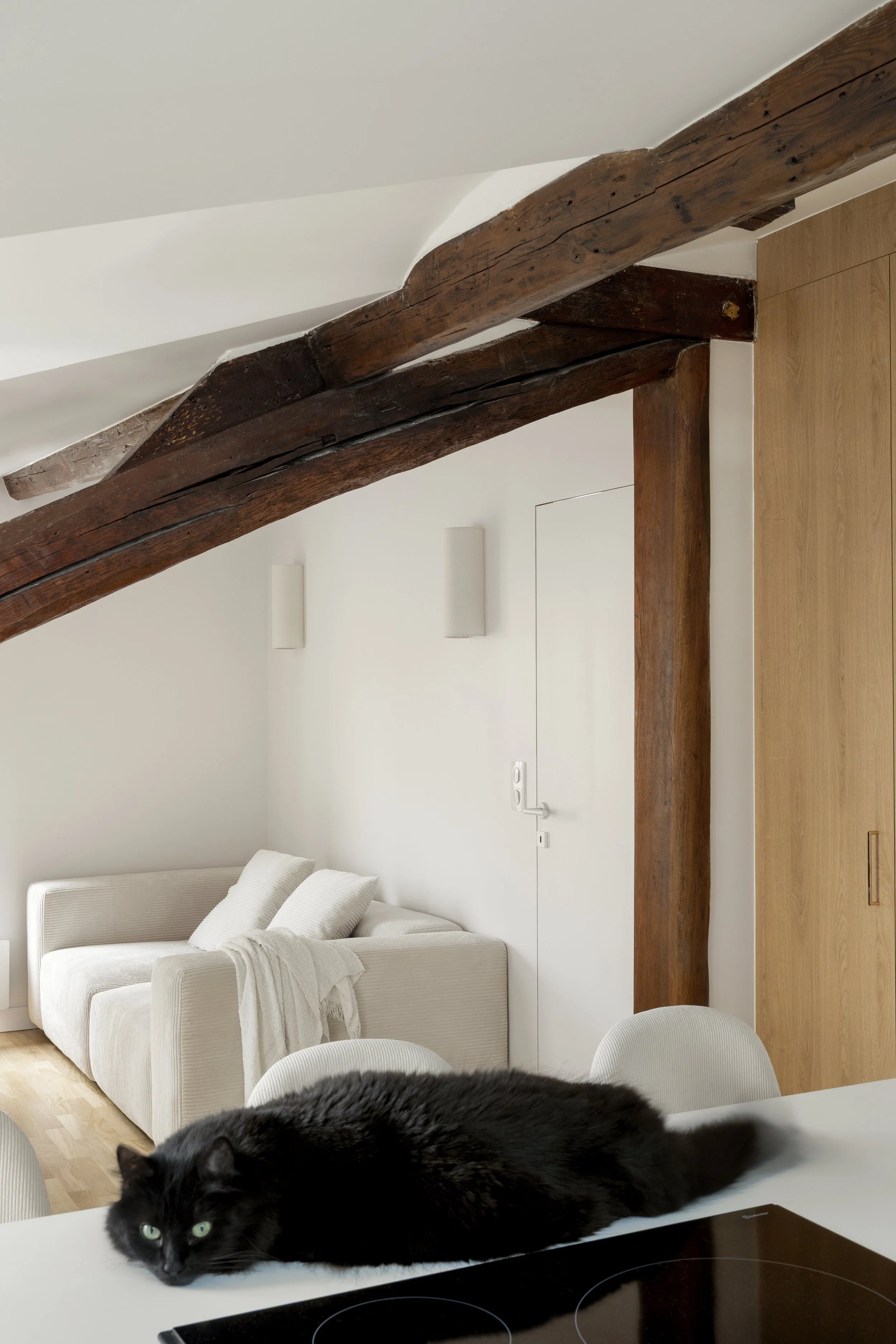 appartement sous-combles rénovation placard sur mesure parquet poncé et vernis interrupteur Legrand  bois agggloméré mélaminé décor bois porte cadre invisible luminaire applique murale Sklum poutre apparente poignée de portes canapé effet velours cui