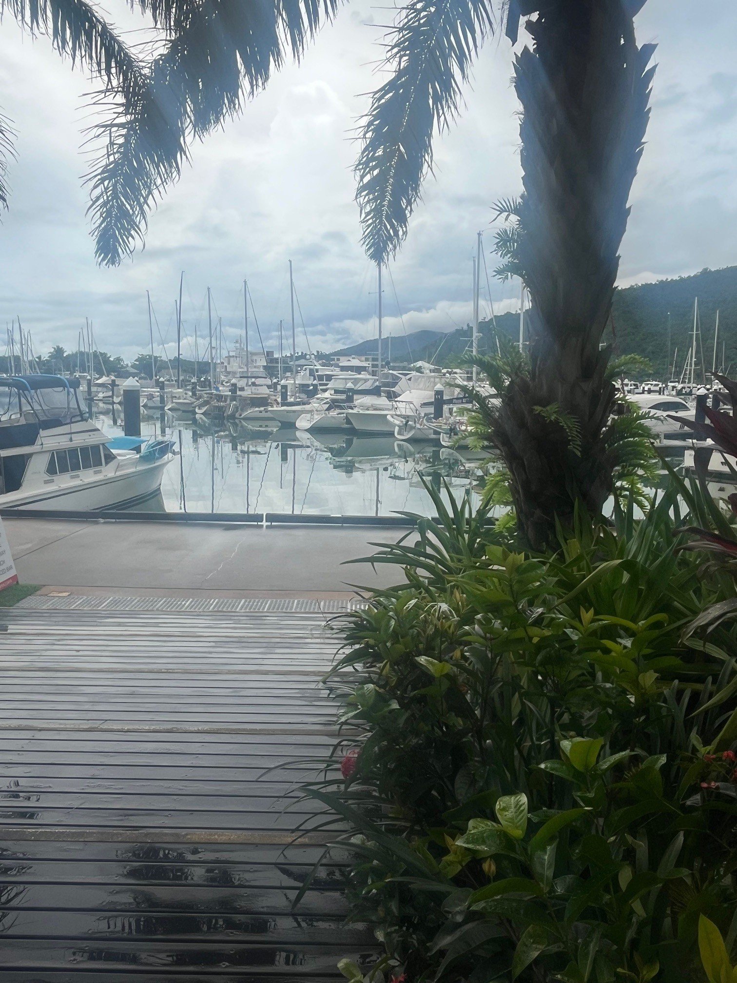 Cyclone Koji, the Wet Season &amp; Why Airlie Beach Is Still a Great Time to Visit 