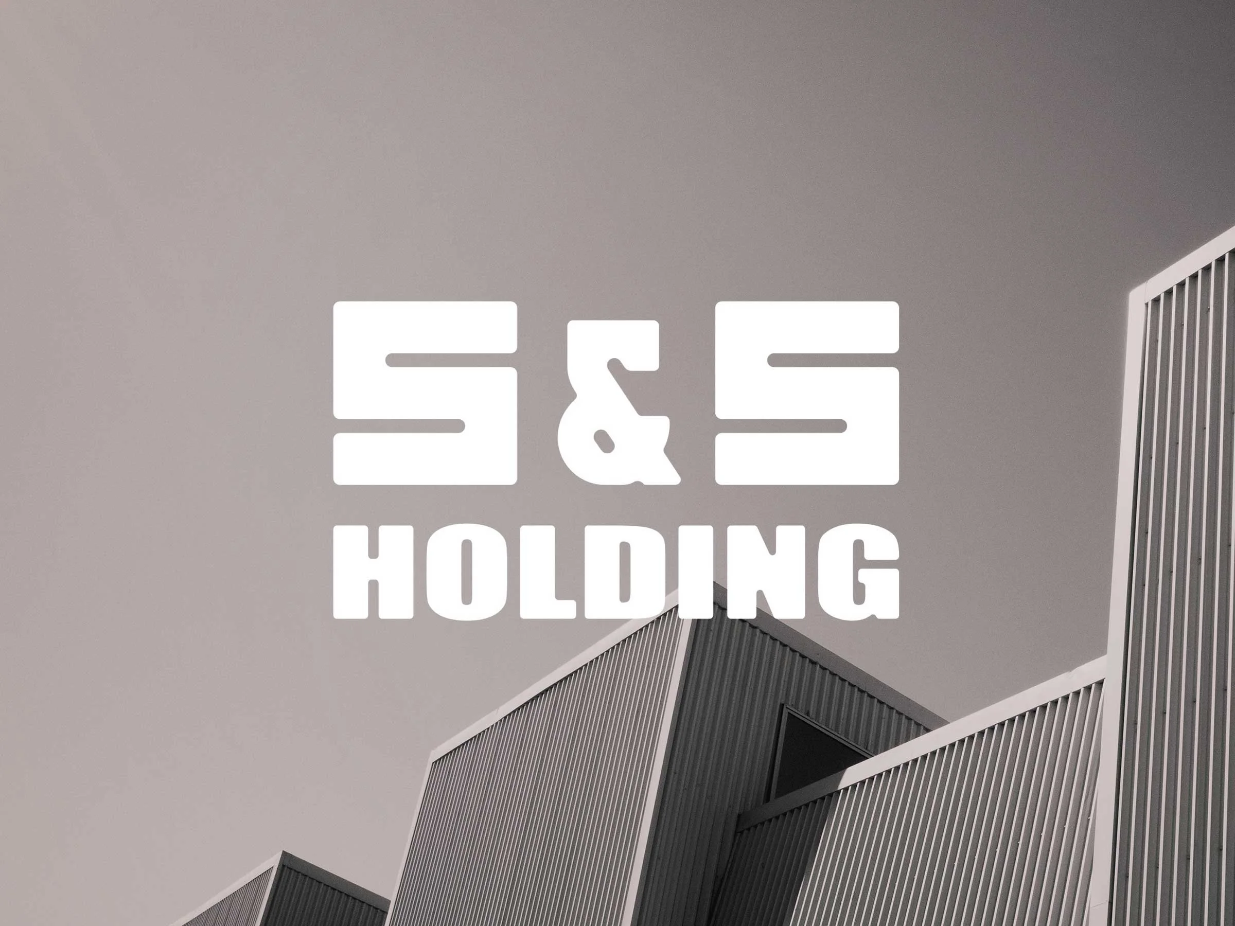 S&S Holding